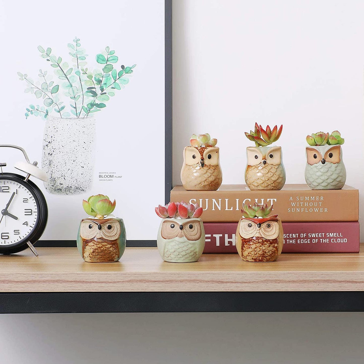 T4U 2.5 Inch Owl Ceramic Succulent Planter Pots with Drainage Hole Set of 12, Mini Cactus Pots Tiny Cute Plant Holder Container Best for Home Office Decor Gardening Gift