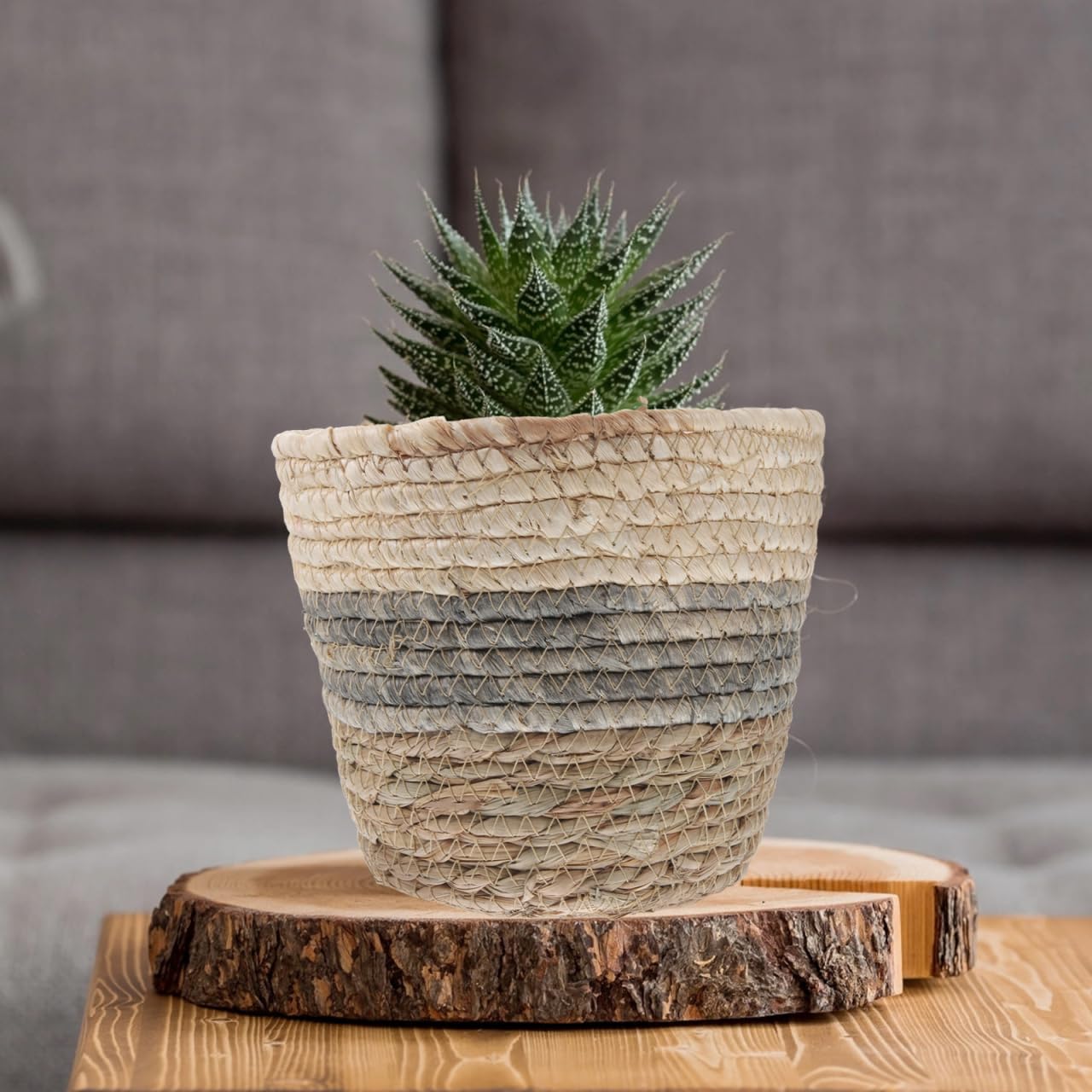 Healeved 2PCS Seagrass Plant Basket with Liner for Indoor Plants Rattan Pots 6inch Weaving Straw Planter Baskets Wicker Small Rustic Decorative Flower Pots for Desktop