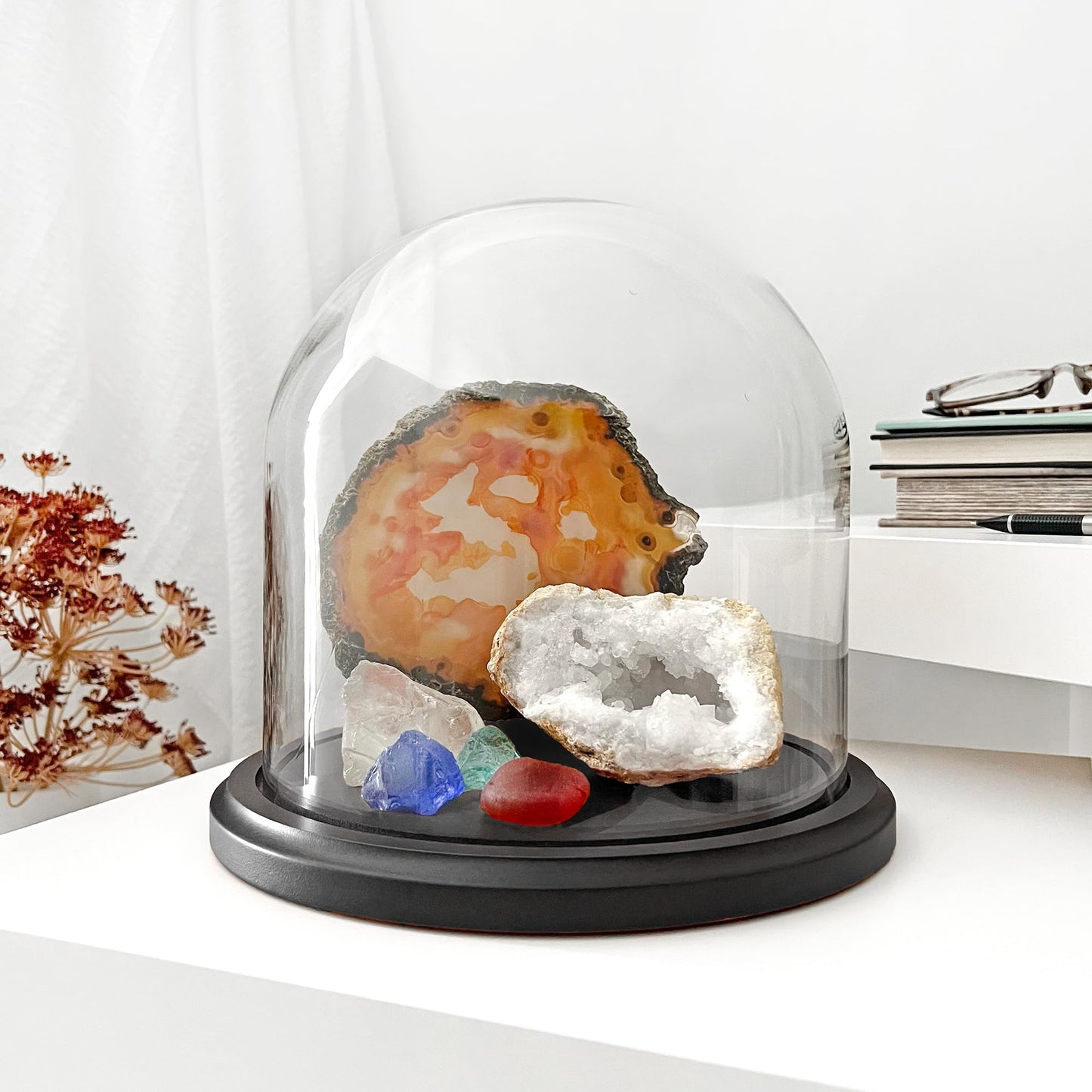 Plymor 8" x 8" Glass Display Dome Cloche (Black MDF Wood Base)