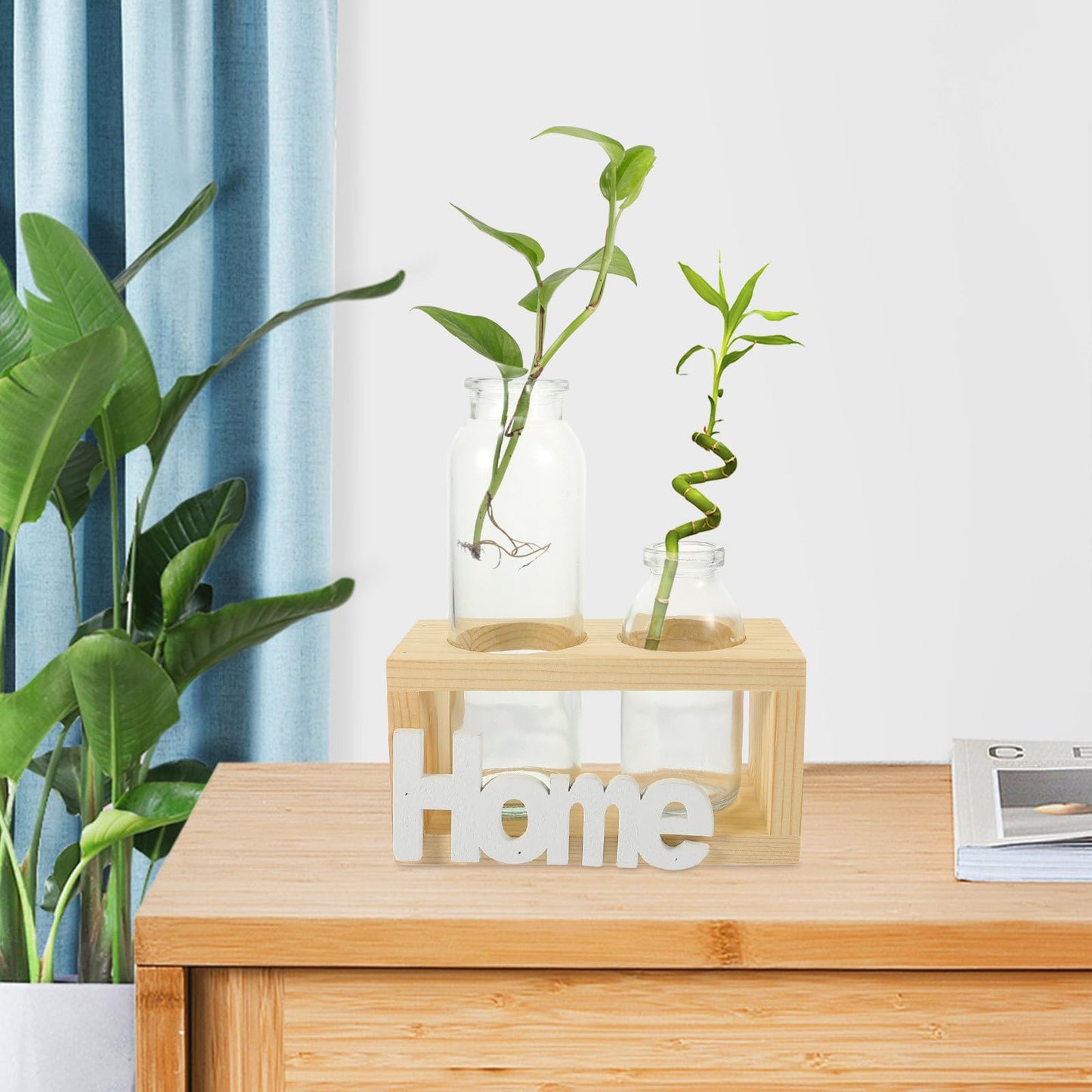 VALICLUD Nordic Style Glass Flower Vase Set with Wooden Stand, Hydroponic Desktop Plant Holder for Indoor Air Plants and Houseplants, Home Décor Terrarium Vase for Table and Office