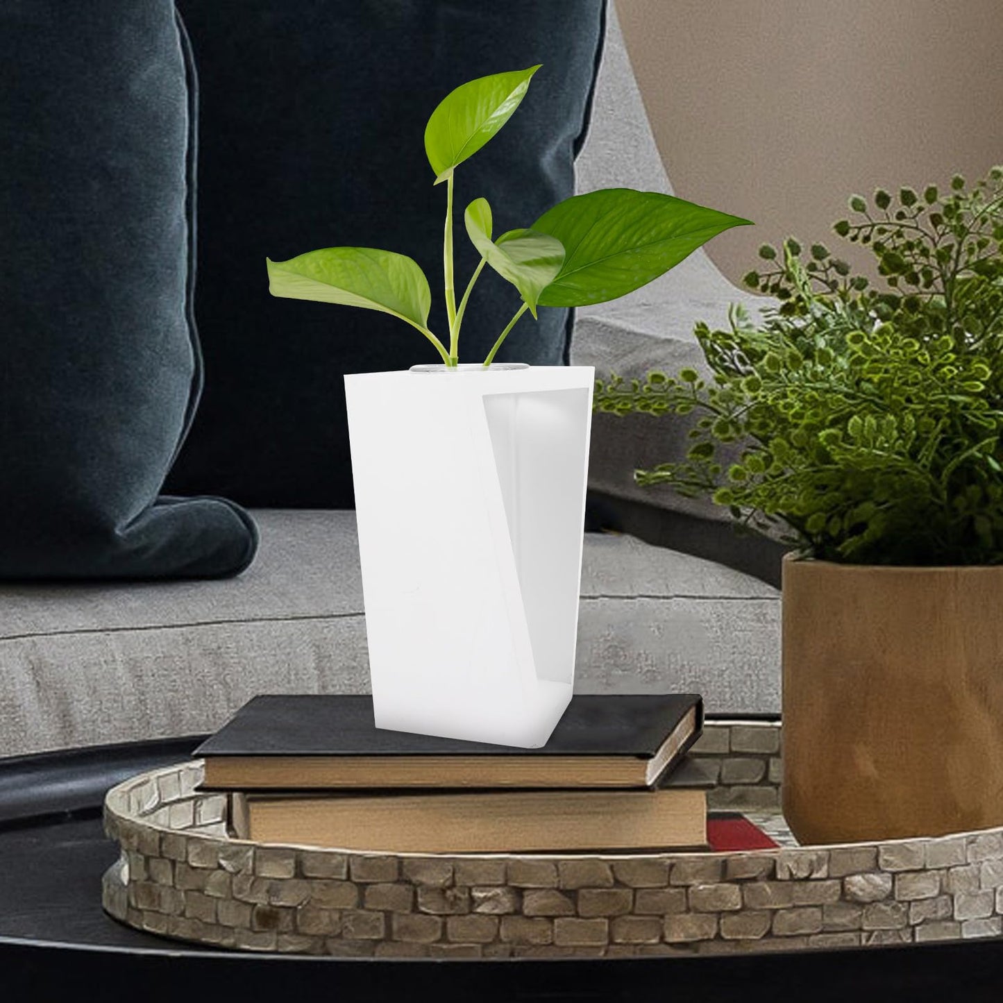 Holibanna Wood Frame Test Tube Propagation Vase, Nordic Style Glass Plant Terrarium with White Stand for Hydroponic Indoor Home Décor and Green Plant Display