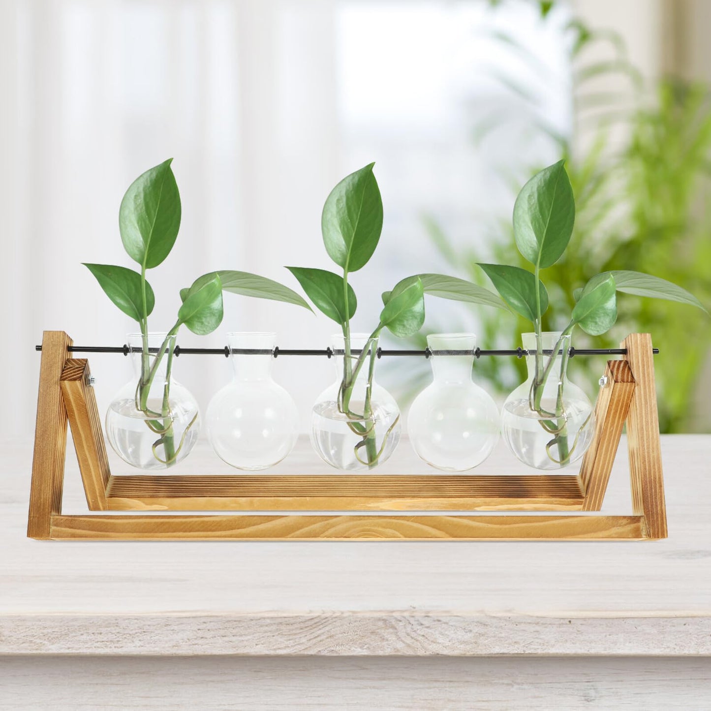 Toyvian Glass Propagation Vases Set of 5 with Wooden Stand, Glass Containers for Hydroponic Plants and Desktop Greenery Decoration, Indoor Plant Terrarium Station for Home Garden