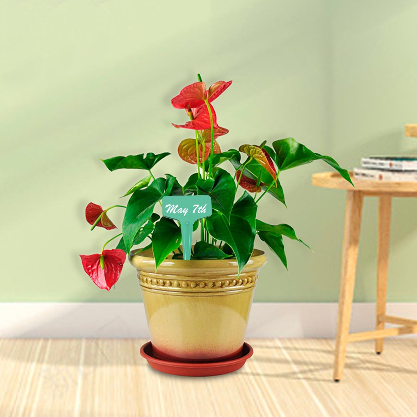MDEOOSKY 12Pack Plastic Plant Saucer, 6" 8" 10" Round Plant Trays, Flower Plant Pot Saucer, Terracotta Drip Trays for Indoor Outdoor Flower Pots and Planters with 20pcs Green Plant Labels