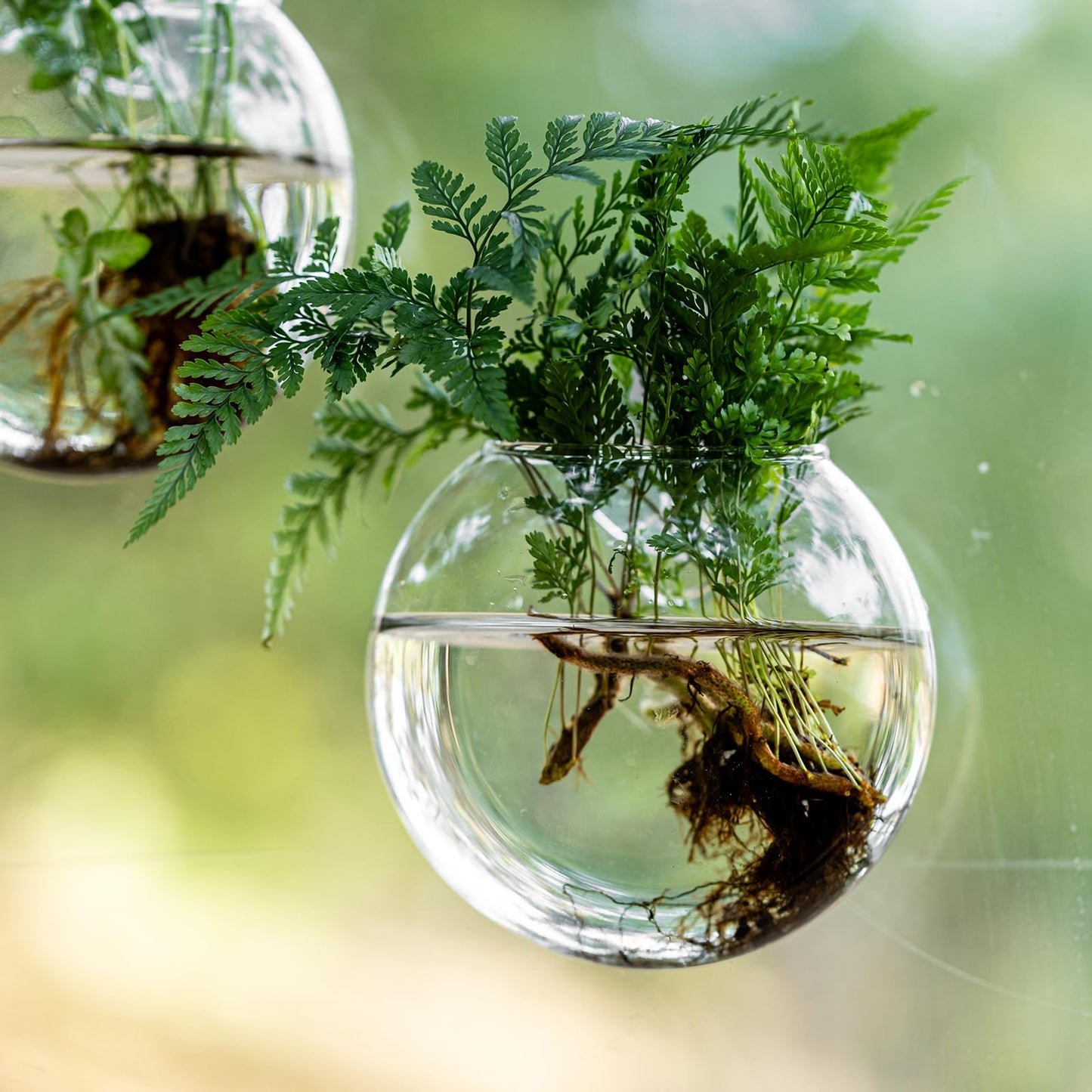 Window Propagation Stations, Oblate Glass Terrariums Planter with Suction Cup Hook, Wall Hanging Planters for Hydroponics Plants, Home, Office, Bathroom, Living Room Decor, Gift for Plant Lovers (4)