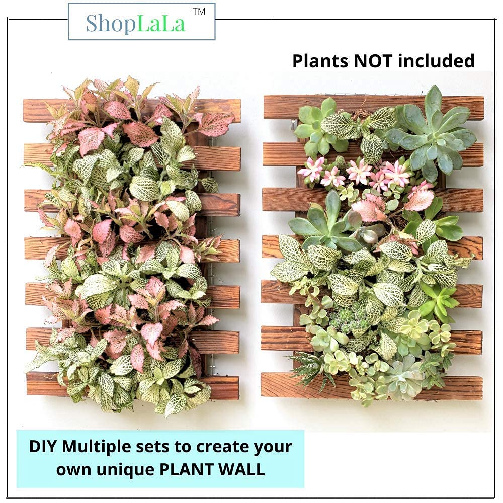 LalaGreen Bundle - 4" x 10 Pack Self Watering Plastic Pot + 4 Pack Wooden Orchid Hanging Planters for Indoor Plants, Wall Mount Plant Stand Ladder, Outdoor Vertical Garden Modern Hydroponic