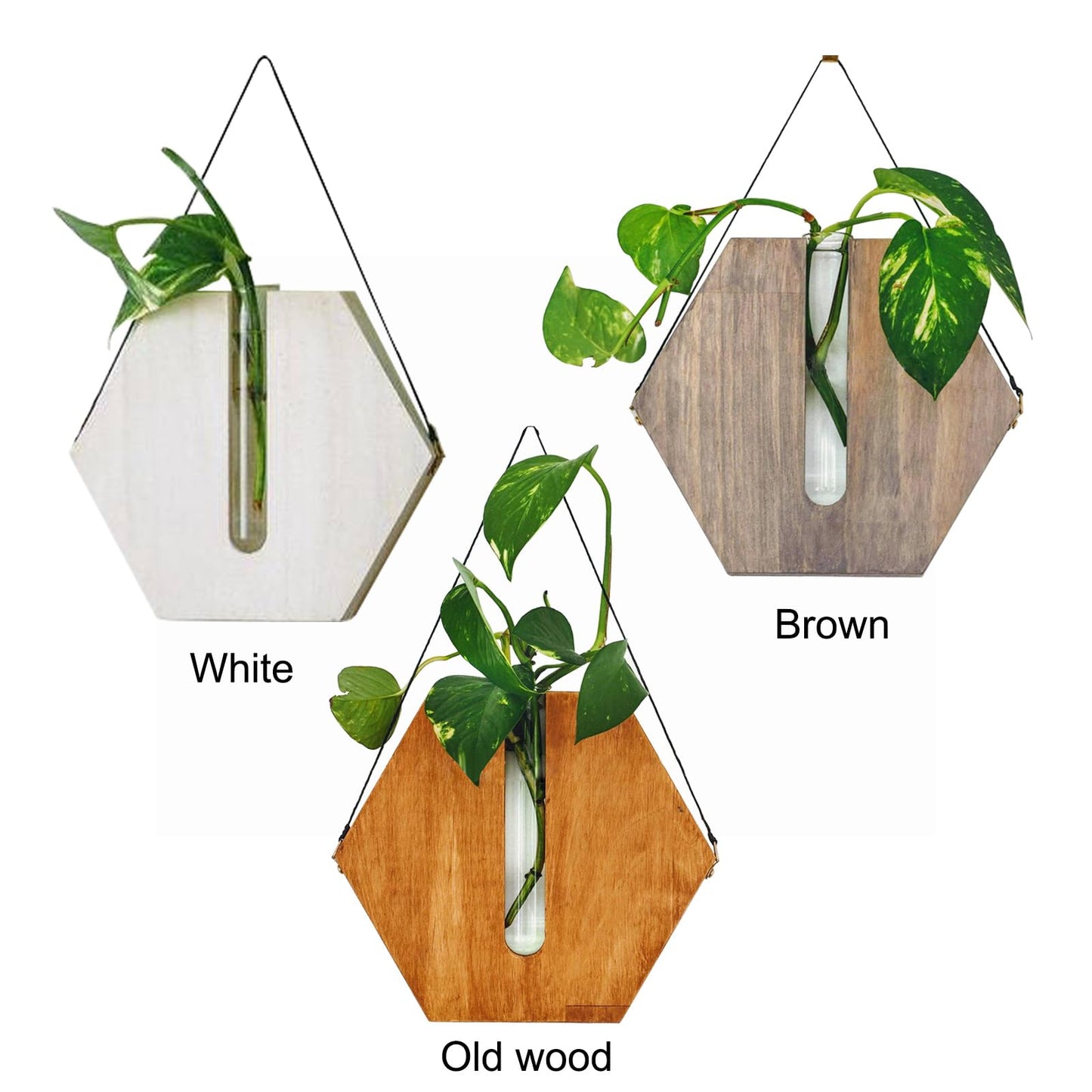 POTRUWE Wooden Wall Hanging Planter Flower Tube Vase, Wall Propagation Planters Glass Plant Terrarium Cylinder Buds Vase Flower Pots Wall Decor for Living Room (Brown)