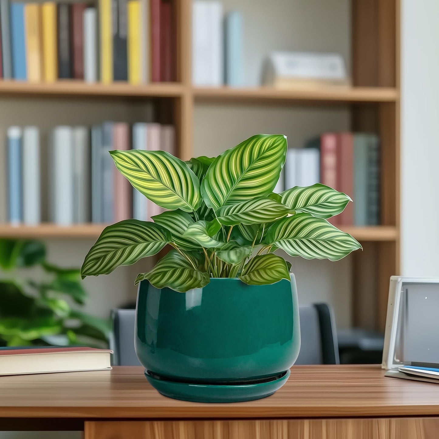 G EPGardening Ceramic Planter for Indoor Plants - 7 Inch Plant Pot, Round Planter with Drainage and Saucer, Round Flower Pots for Outdoor, Modern Desk Decor, Gift for Women Men, Green
