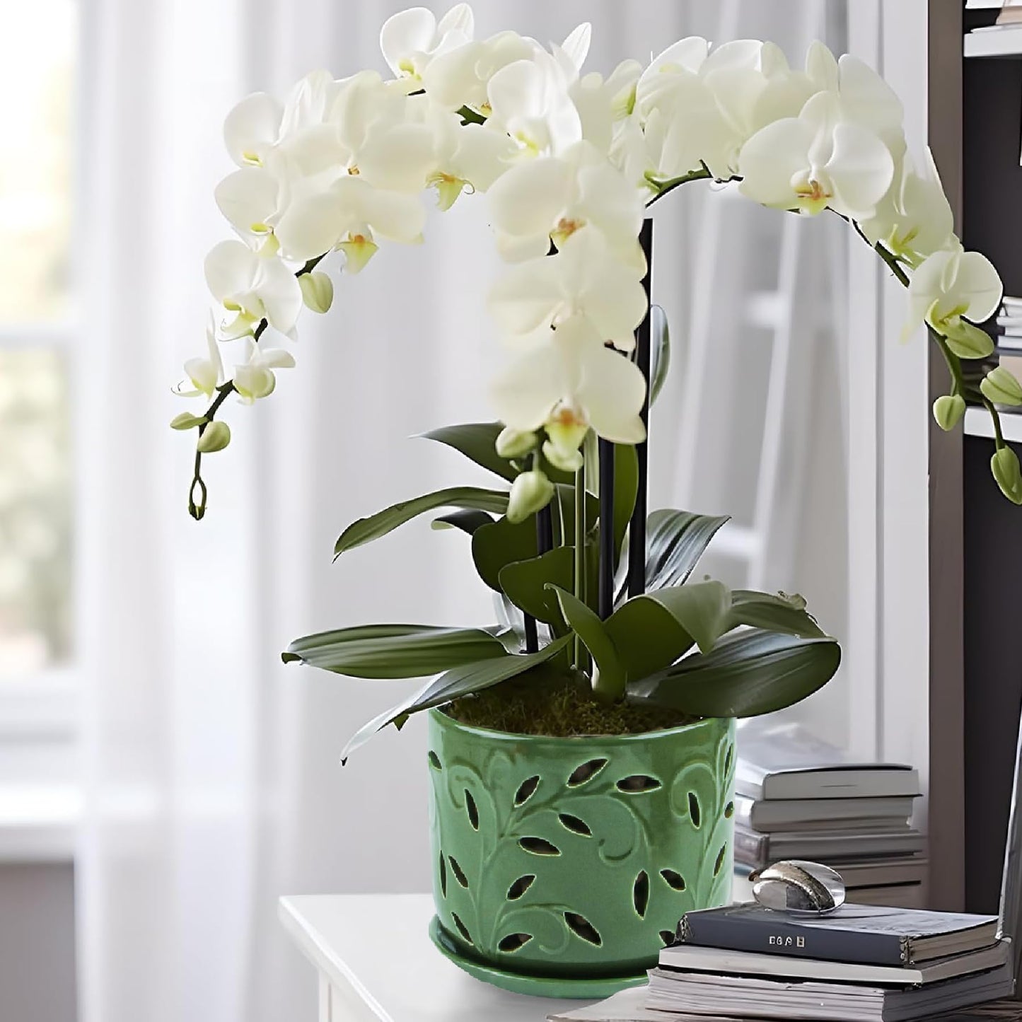BUYMAX Set of 2 Orchid Pots with Holes & Saucers for Orchid Root Health, 5 inch&6 inch Ceramic Pots for Plants (Patina)