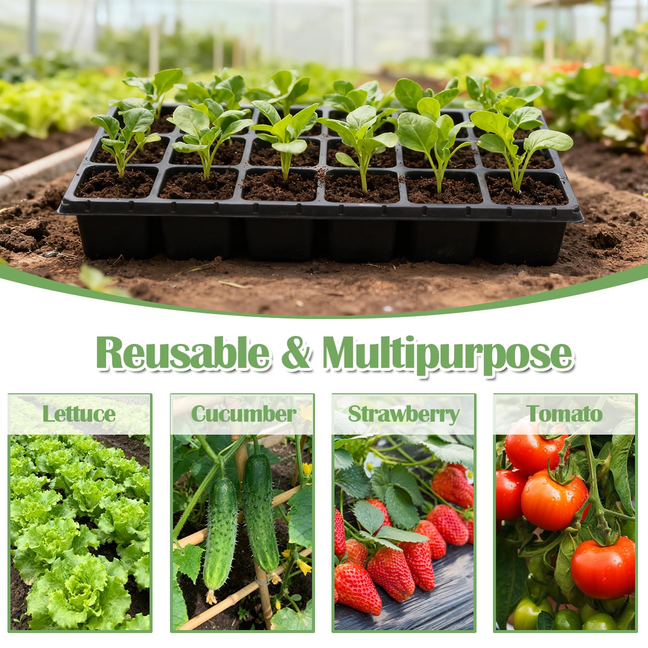 RooTrimmer 3 Inch Square Pots 2.9" Deep 18 Cell Seedling Trays with Water Collection Nursery 1020 Trays No Holes for Seeds Starting and Transplanting (20"x10",10 Sets)