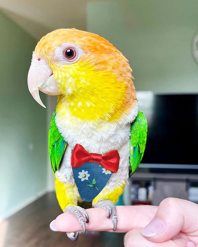 UKJENT Bird Diaper Protective Parrot Nappy 2 Pack, Reusable Flight Suit with Waterproof Inner Layer, Washable Cute Urine Wet Suit for Parrots(M)