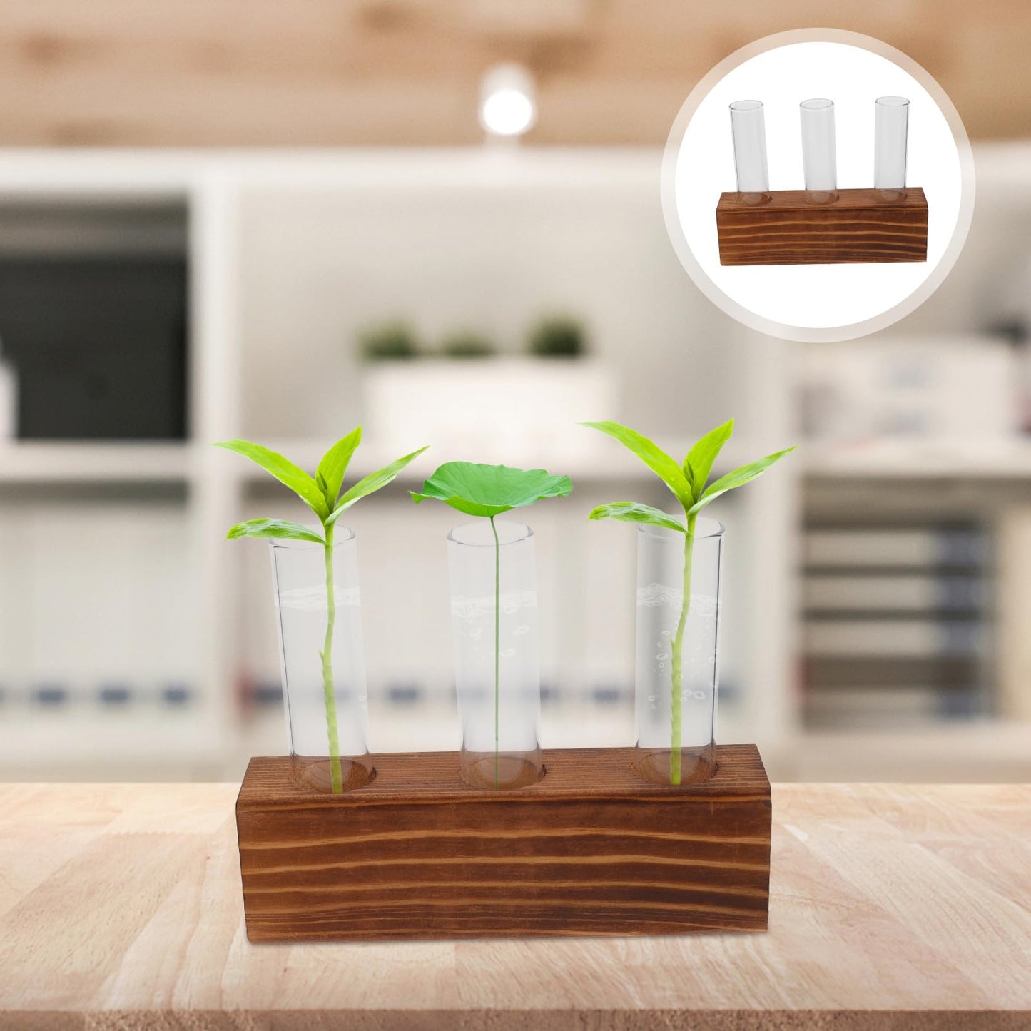 Unomor Glass Plant Propagation Station with 3-Hole Charcoal Wood Base and Test Tubes, Glass Vase for Indoor Hydroponic Plants and Desktop Terrarium Decoration