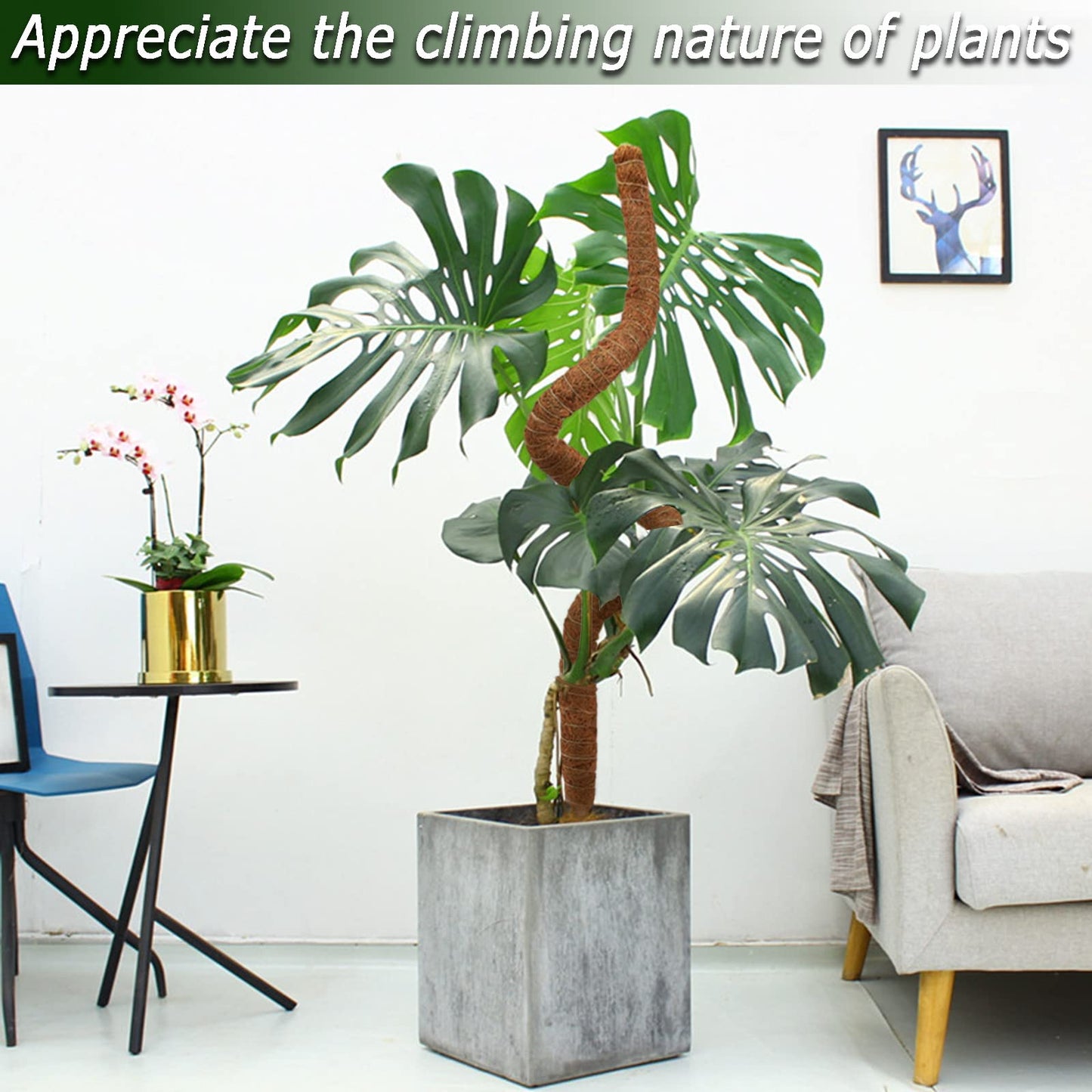 Soupiar 2-Pack 28" Bendable Moss Pole for Monstera, Rust-Free Aluminum Core Plant Support Stakes, Sturdy Stakes to Train & Grow Indoor Climbing Plants Upright (13.2ft Jute Rope Included)