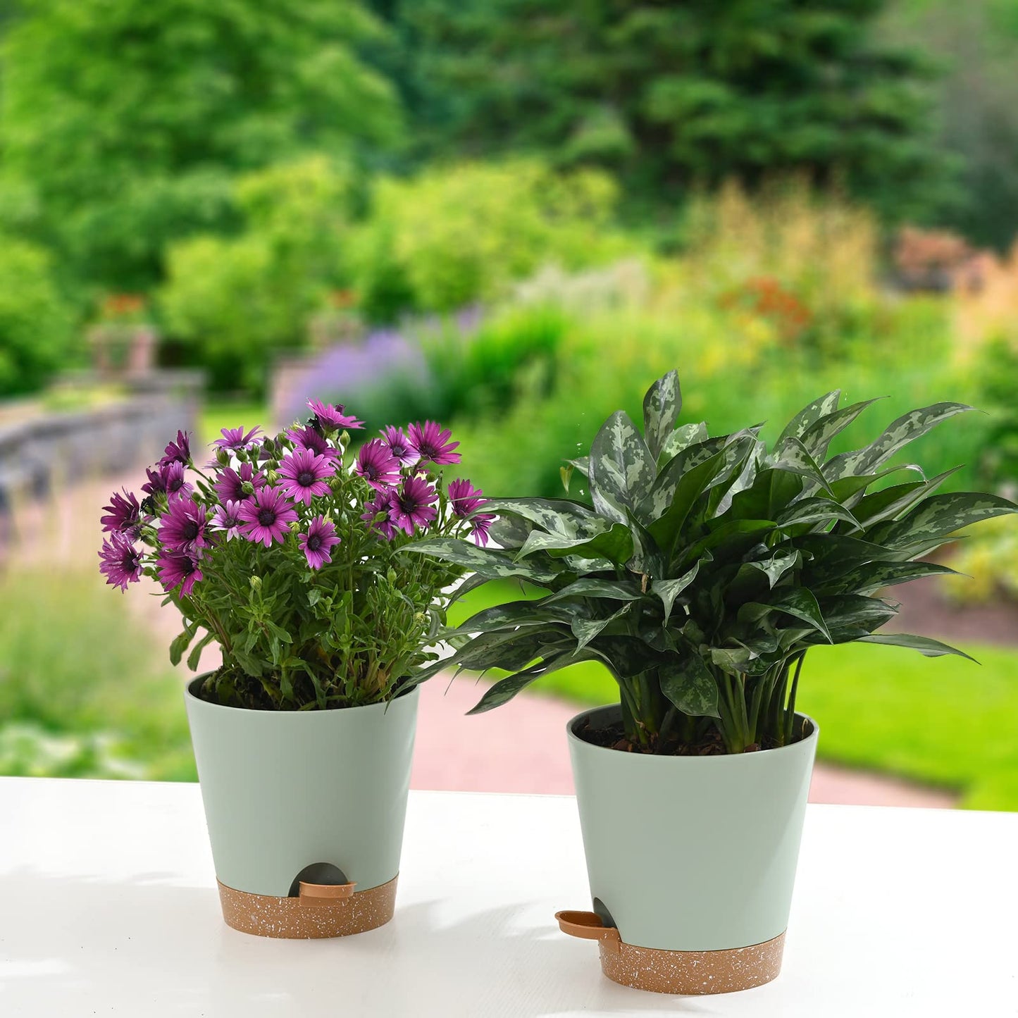 Qaobo Plant Pots 6 PCS 5 inch Self Watering Planters High Drainage Flowers Pot for Indoor Outdoor Plants with Reservoir Tray and Watering Lip Gardening Planter Garden Flower Pots, Green