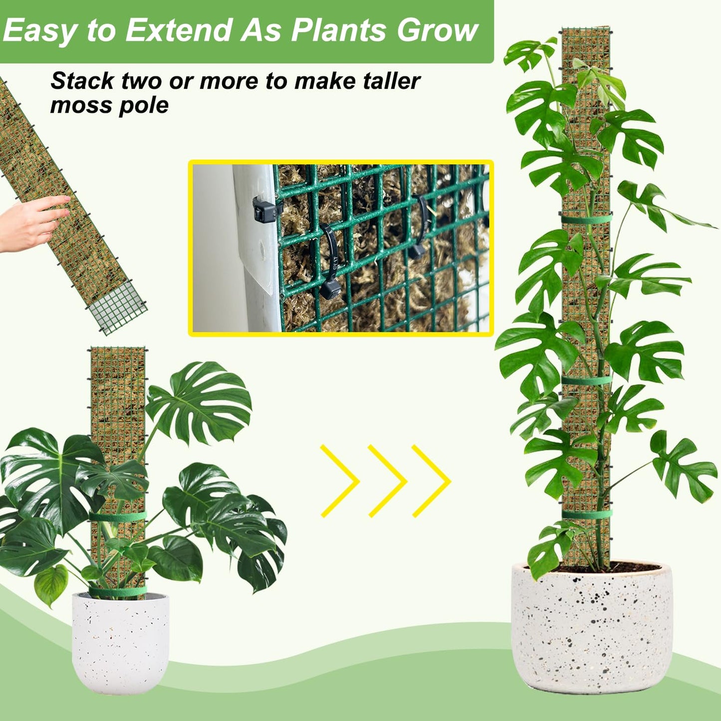 70"/60"/40"/24" Metal Moss Pole, D Shape Sphagnum Moss Pole, Moss Poles for Climbing Plants, Monstera, Indoor Climbing Plants (1 Each of 70" 60" 40" 24")