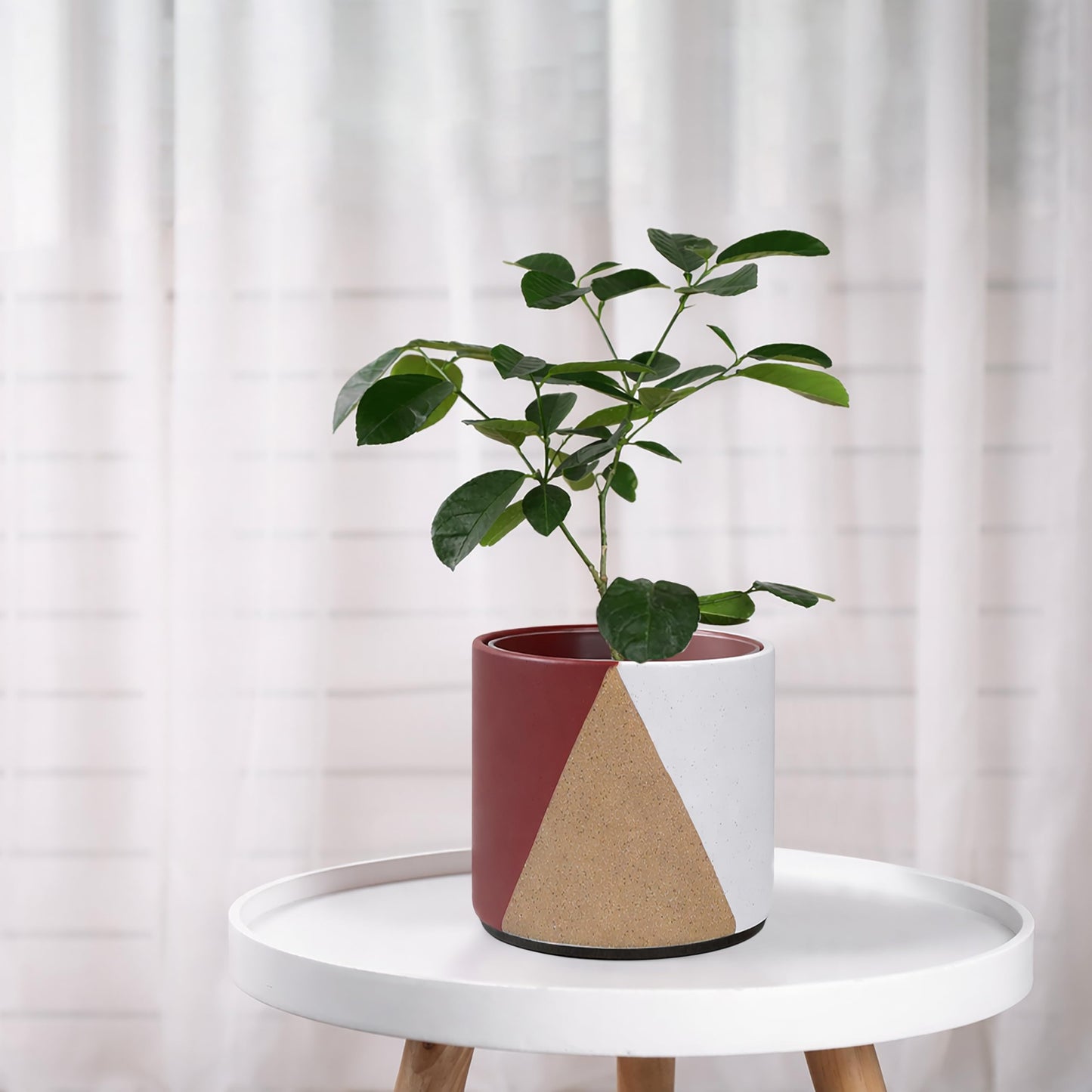 D'vine Dev 6.5" Stoneware Cachepot Planter with 6" Low Clear Nursery Pot & Detachable Saucer – Modern Indoor Plant Pot with Drainage for Bottom Watering & Root Visibility, Crimson Dune, 93-O-C-4