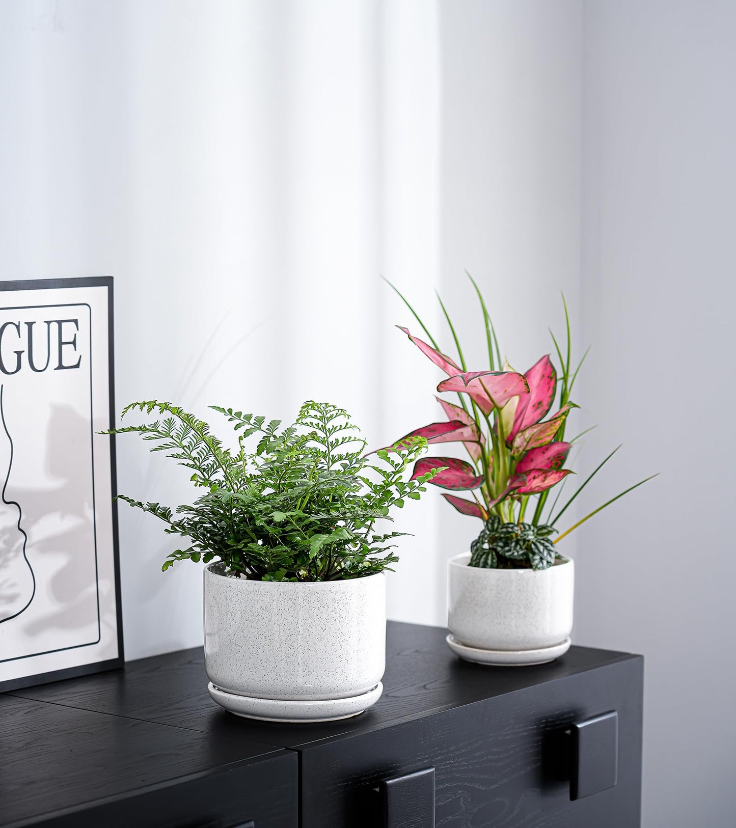 Ton Sin Plant Pots, 4.1+5.1+6.5 inch, Set of 3, Ceramic Planters with Drainage Hole and Saucer, Indoor Flower Pot with Drainage Hole, Gifts for Mom(Reactive Glaze White)