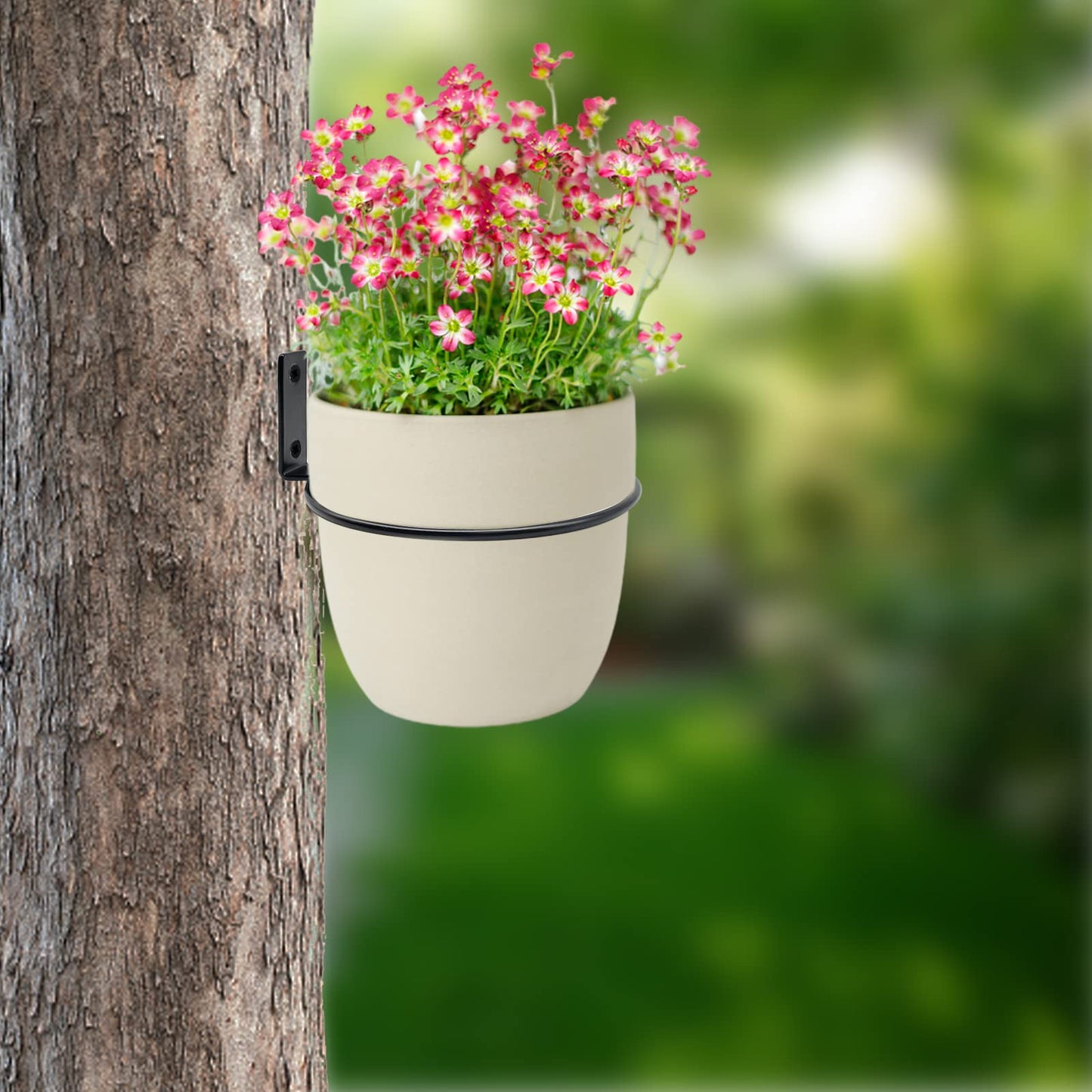 Greemov 6 Pack 6 Inch Wall Flower Pot Holder Ring Plant Hanger, Metal Planter Hooks Wall Mounted Bracket Heavy Duty for Outdoor Indoor