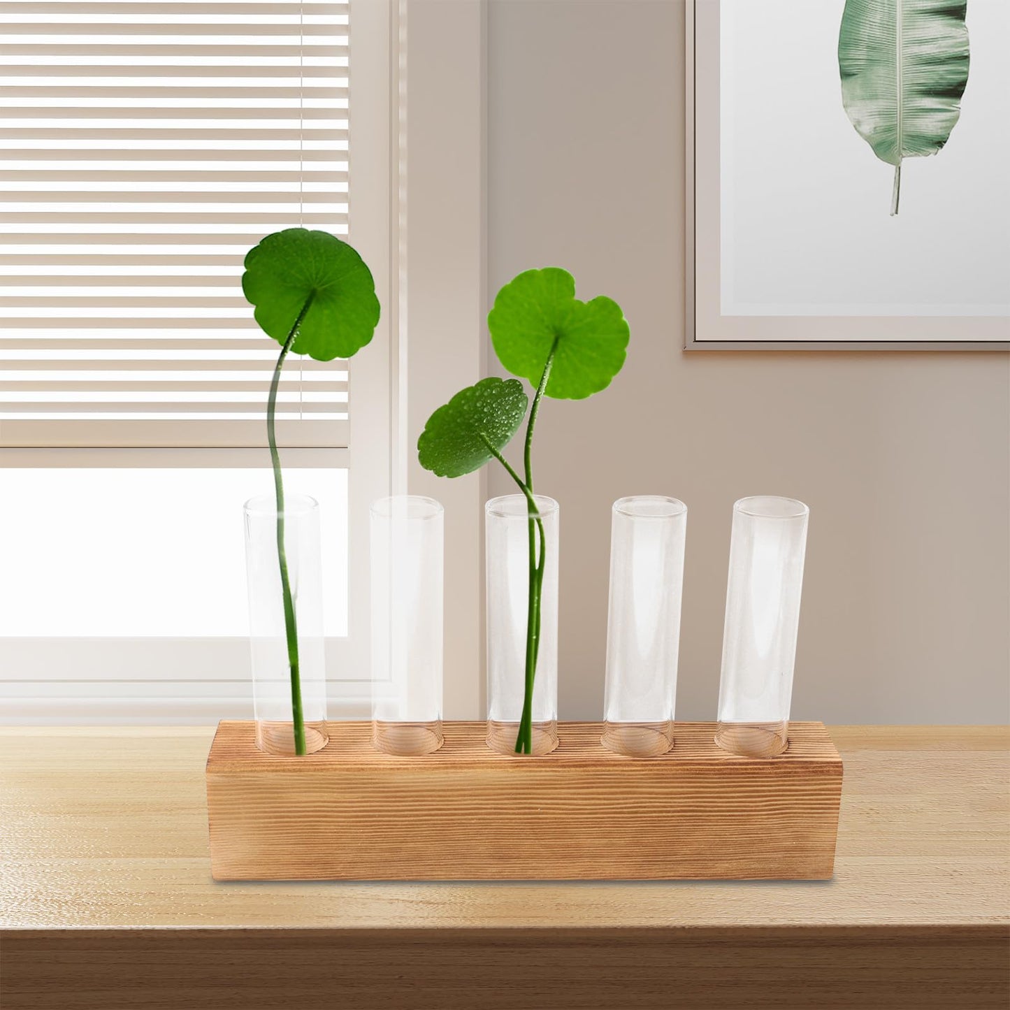 CONGARTENO Glass Test Tube Vase with 5-Hole Wooden Stand Hydroponic Plant Terrarium for Indoor Home Décor and Desktop Plant Holder
