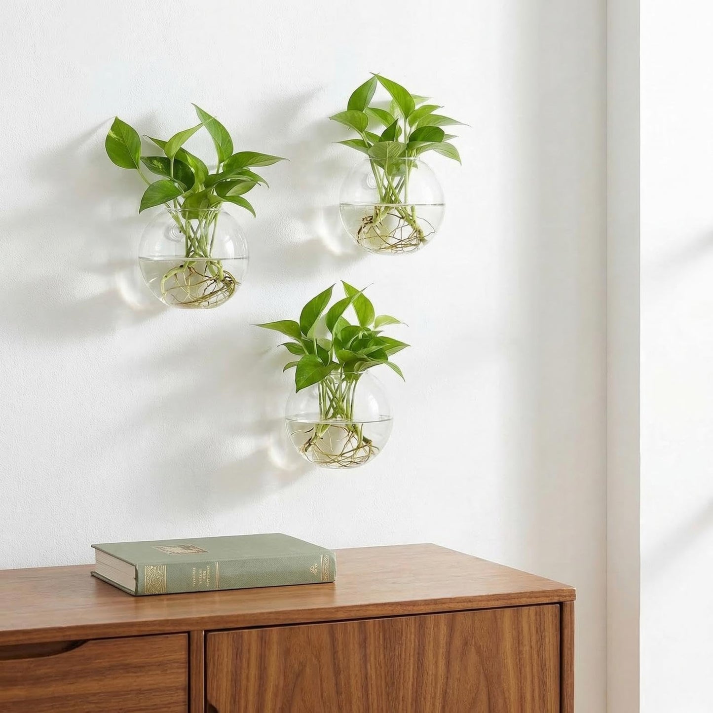 Yarlung 6 Pack Wall Hanging Planters Terrarium, 4.7 Inch Glass Oblate Globe Plants Containers, Wall Mount Clear Flower Vase for Propagating Hydroponics Plants, Air Plants (Plants Not Included)