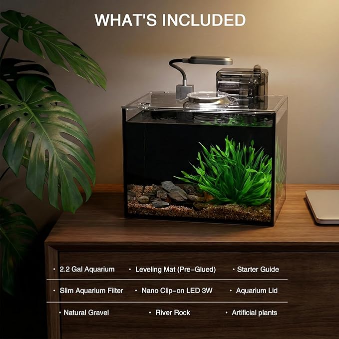 2 Gallon Betta Fish Tank, Small Aquarium Kit,Glass Small Fish Tank,Betta Fish Tank with a lid and Light and Filter, Small Transparent Glass Fish Tank with Light and Filter (Black Glass Background)