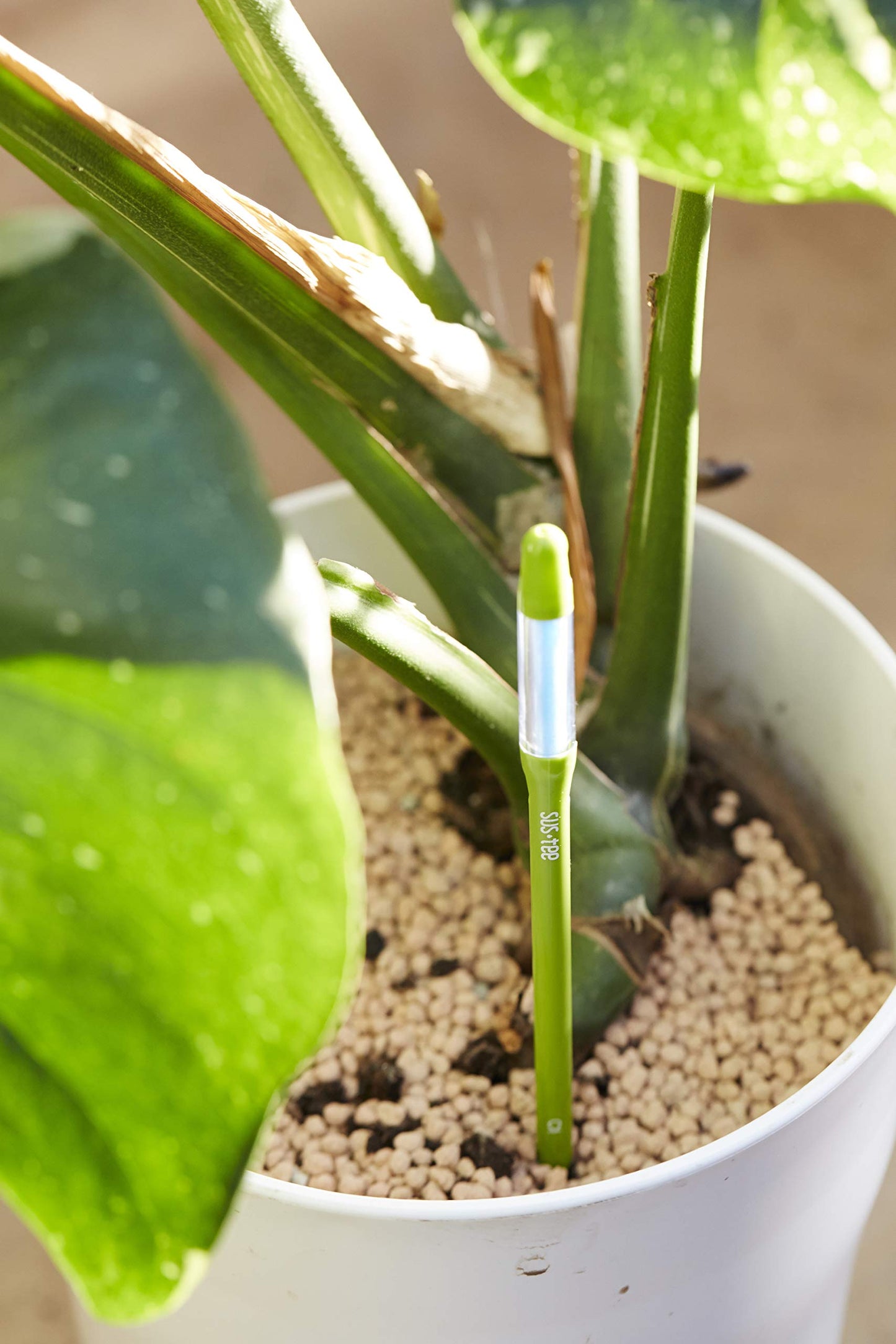 Sustee Aquameter Medium (Green Refillable) - Plant Soil Moisture Sensor - Best for Potted Plants - Probe, Meter, Indicator