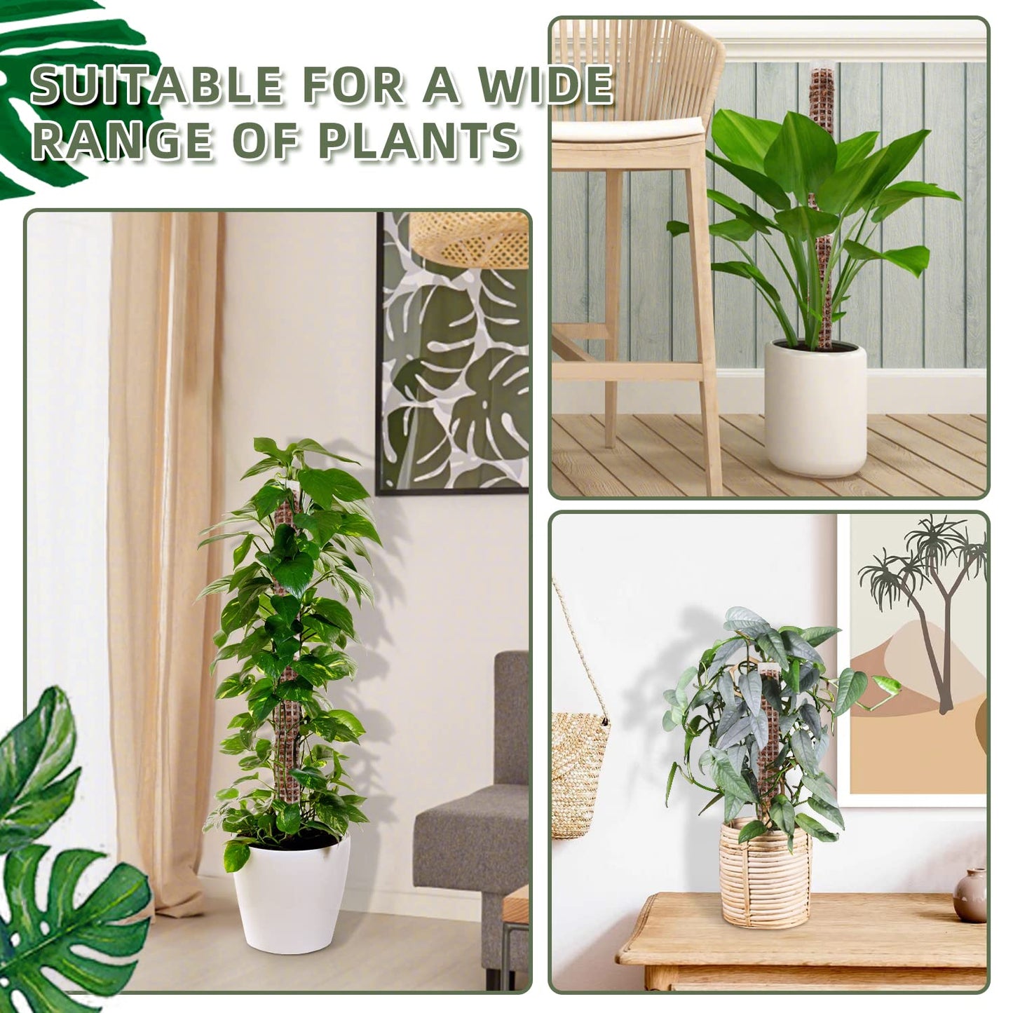 Small Moss Pole for Monstera - Stackable & Refillable Plastic Moss Poles for Climbing Plants with Large Mesh Design (4Pack-White-Small)