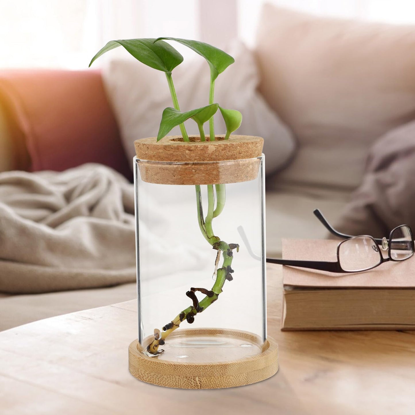 jojofuny 2pcs Glass Planter Vases for Hydroponics Plants 6.5x10in Desktop Terrarium with Stand Set for Home Office Gardening