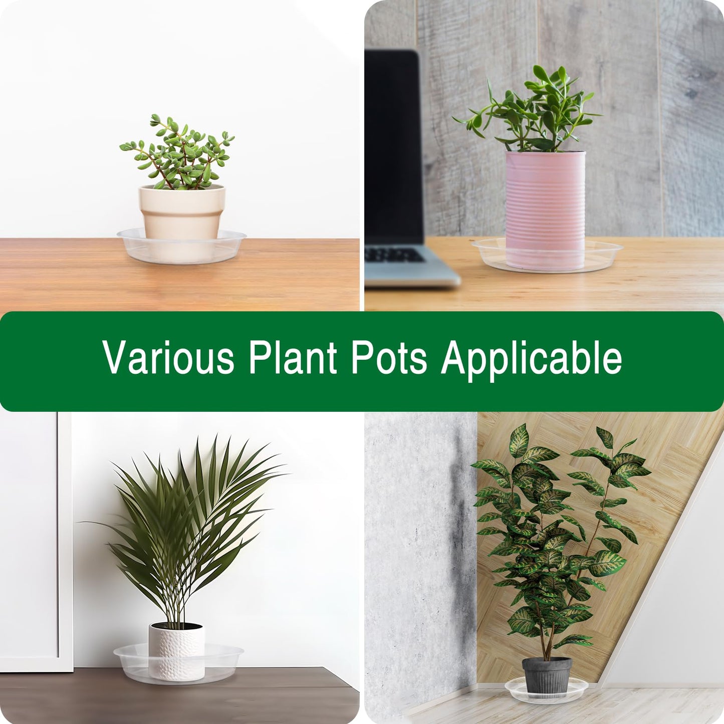 Dapsang 6 Pack Plant Saucers of 10 Inch, Clear Plastic Plant Trays for Pots Indoor Outdoor, Round Durable Sturdy Plant Water Catcher Tray for Drainage Decoration Protection