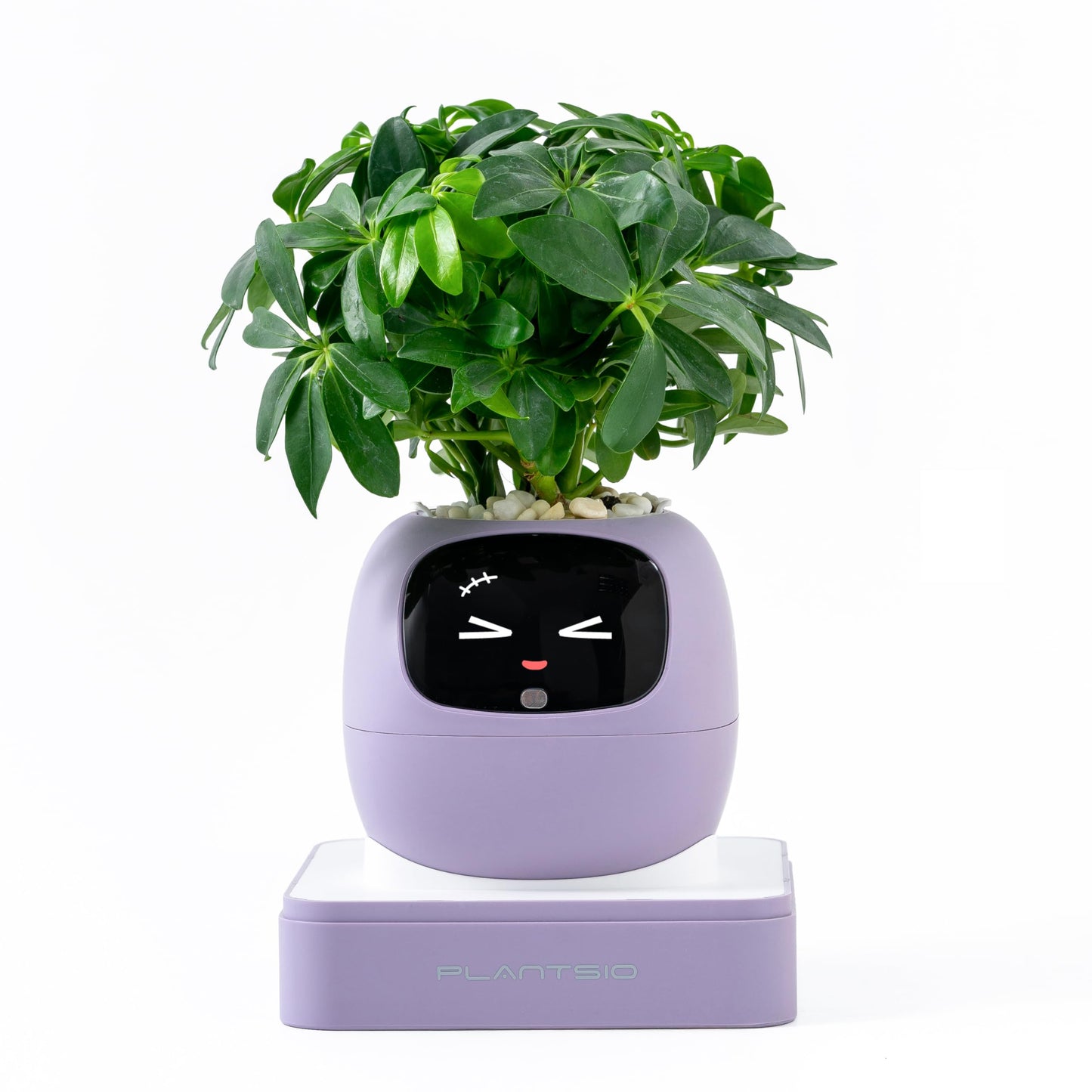PLANTSIO Ivy Interactive AI Desk Companion, Smart Plant Pet with 100+ Expressions, Cute Indoor Planter for Office Decor, Unique Gift for Plant Lovers & Coworkers(Violet)