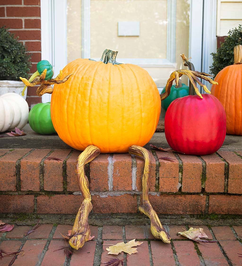Plow & Hearth Set of 4 Bendable Pumpkin Arms and Legs | Twisting Vines for Halloween Pumpkin Carving DIY Crafts for Kids | Includes 2 arms and 2 Legs | Outdoor & Indoor Halloween Decorations