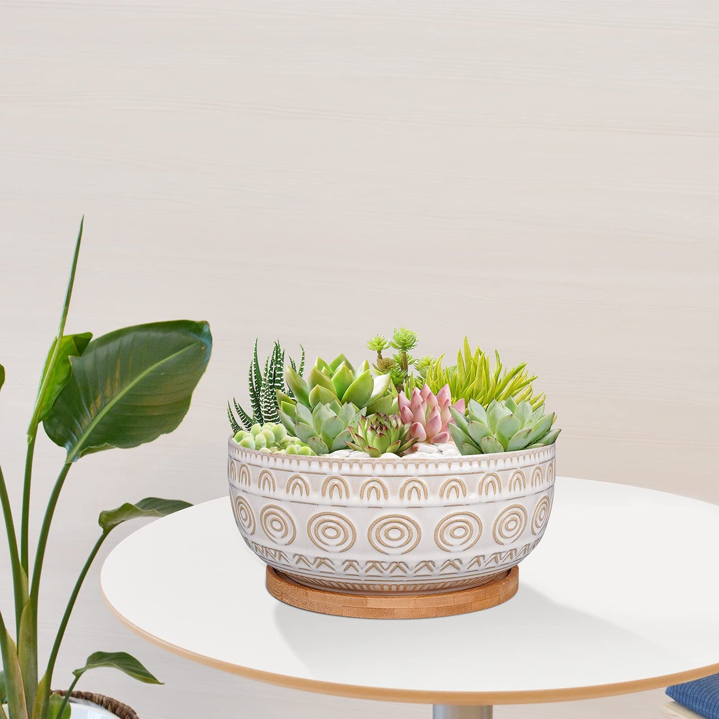 Eightpot 8 Inch Ceramic Succulent Planter Pot with Drainage Hole and Saucer Round Shallow Planter for Indoor Plants, White