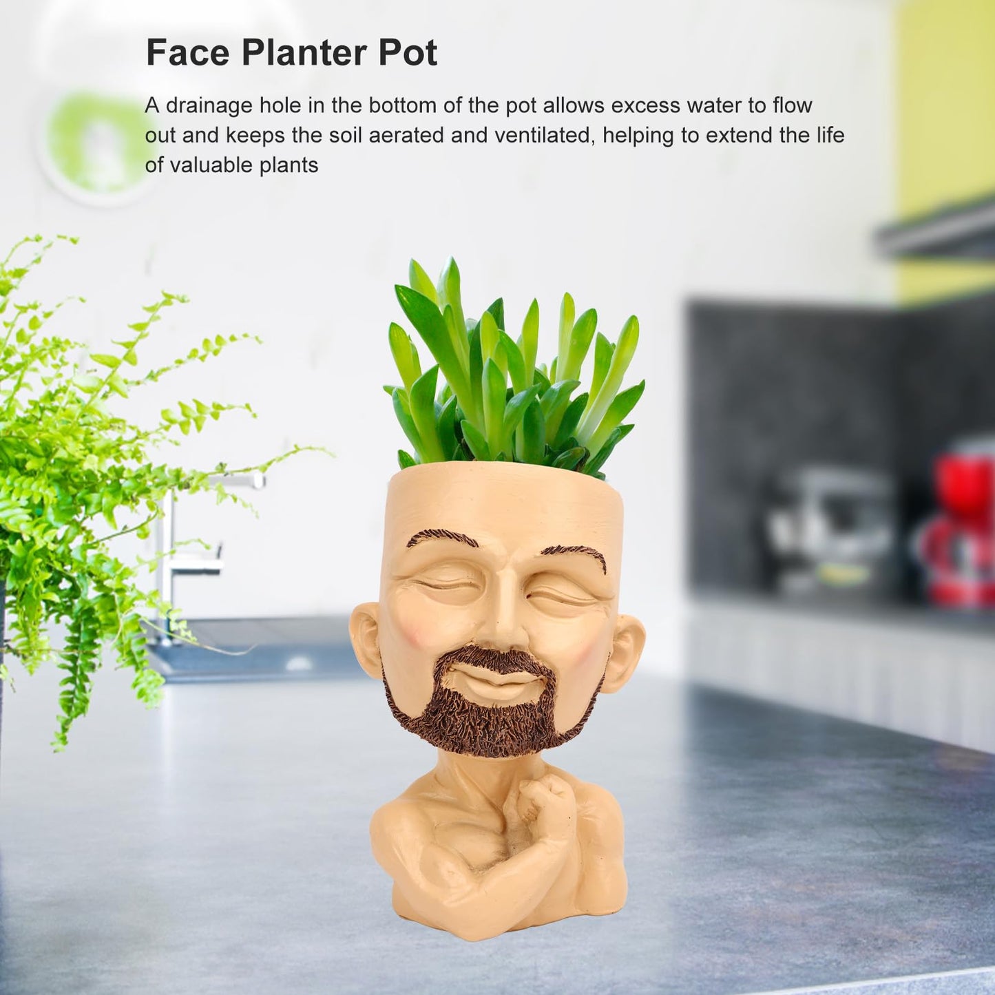 RUYANZER Face Planter Pot, Head Planter for Succulents and Small Plants, Cute Human Face Flower Pot with Drainage Hole, Resin Decorative Planter for Home Office Desk