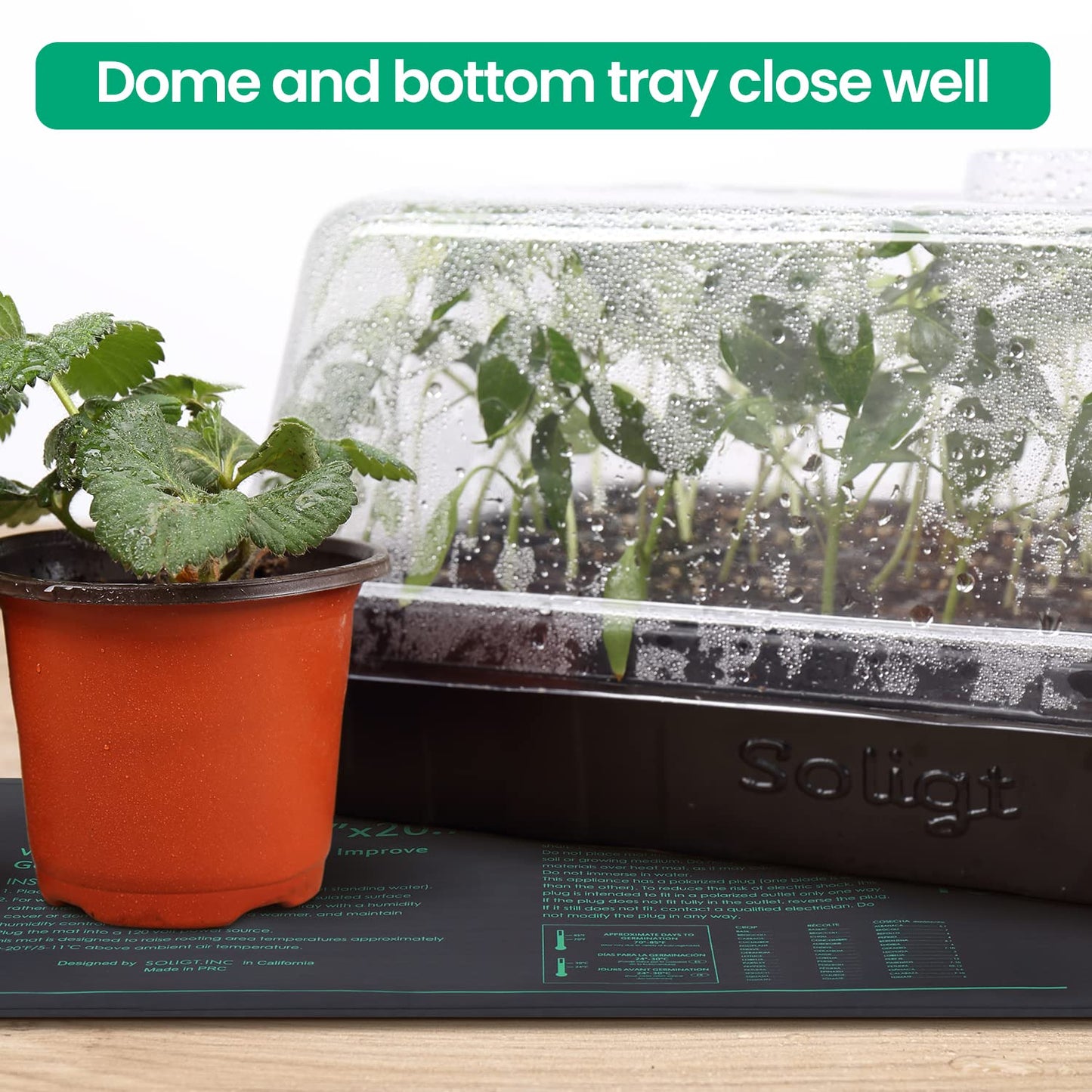 SOLIGT 2 Set 60-Cell Seed Starter Kit - Strong Seed Trays with Humidity Domes, Cell Trays and Seedling Heat Mats - Cloning, Propagation and Germination Station