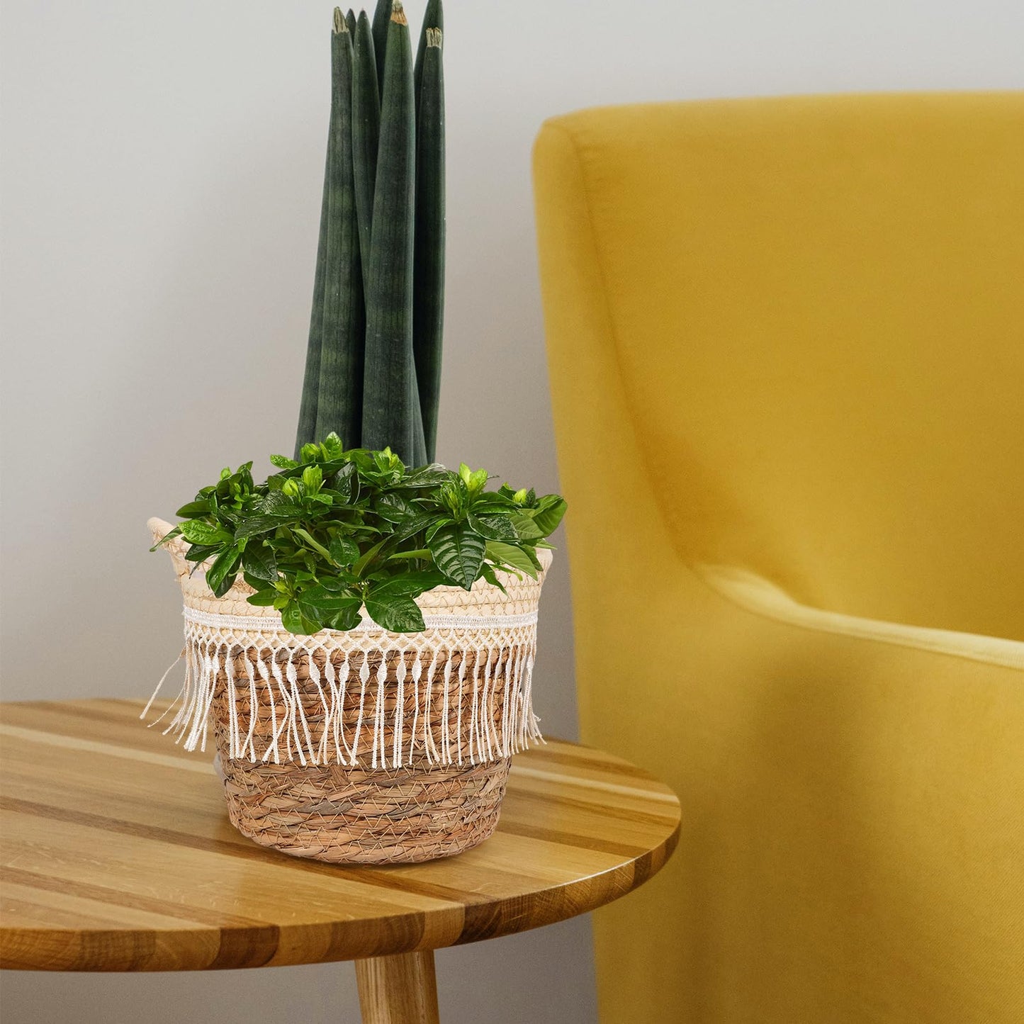 Alipis Boho Woven Planter Basket with Built-in Jute Liner Straw Rope Plant Container Holder for Indoor and Outdoor Use Decorative Plant Basket for Home Office Patio 8.26X7.48X6.69 Inches