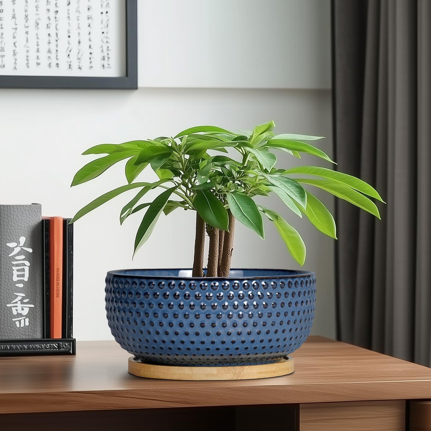 EPFamily Bonsai Pots - 8 Inch Ceramic Pots for Succulent Plants & Bonsai Tree, Planter with Drainage Hole and Saucer, Modern Round Decorative Flower Planters, House Decor, Gifts for Women Man, Blue