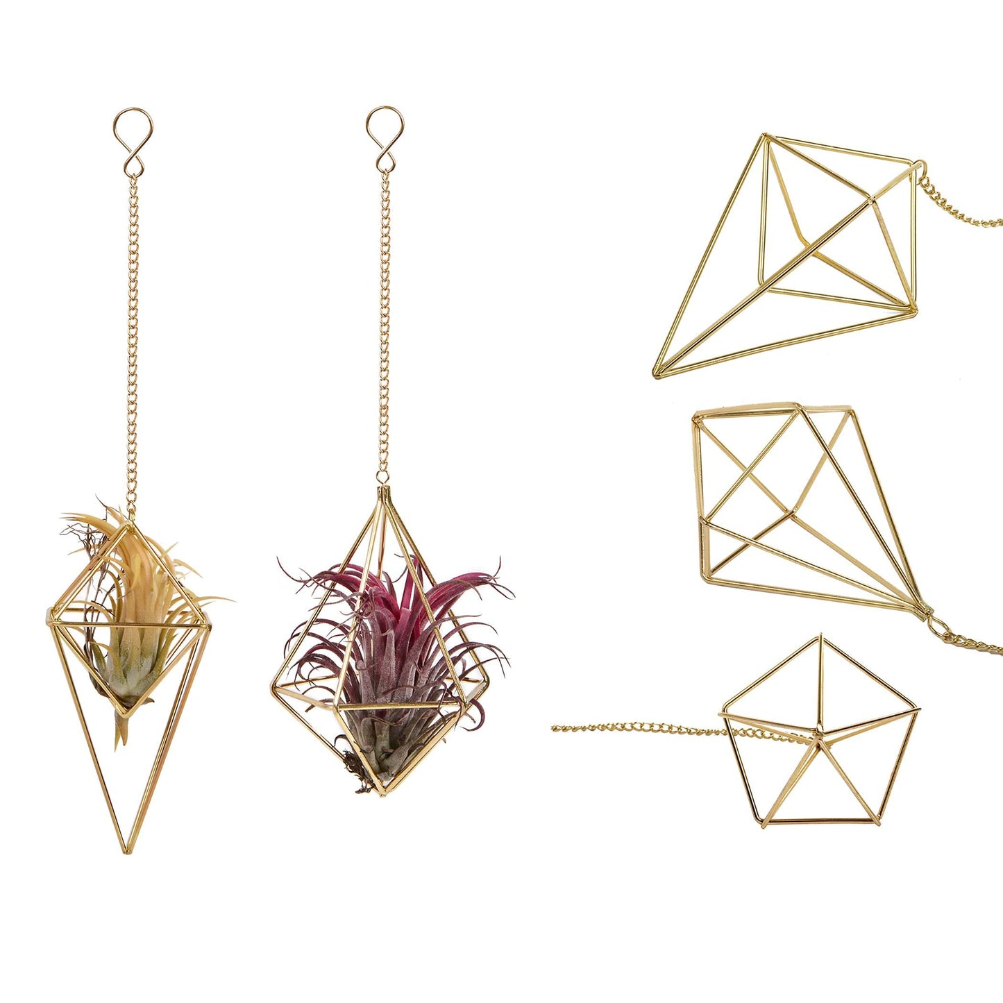 4Pcs Hanging Metal Air Plant Holder with Chain Mini 2 Style Tillandsia Geomitric Airplants Hanger Air Fern Cage Decor for Home and Office