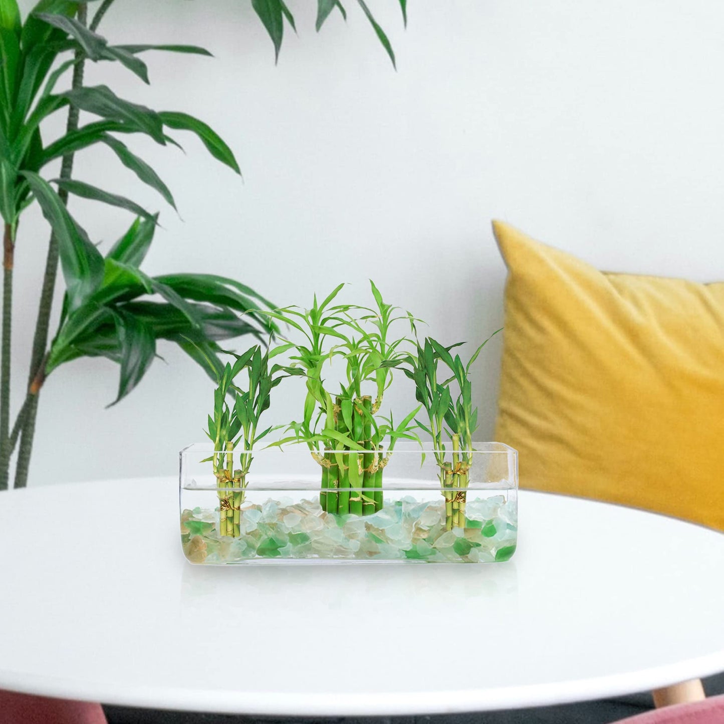 CYS Excel Glass Rectangle Vase (H:4" Open:12"x4") Oblong Flower Vase for Decorative Wedding Centerpiece Terrarium Planter Box Container