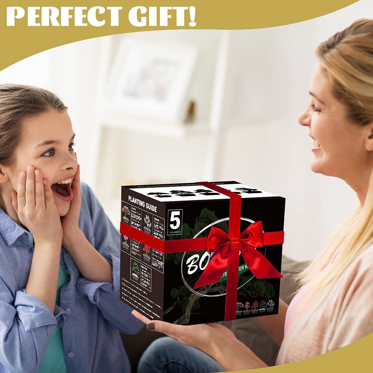 Meekear 5 Bonsai Tree Kit Complete Plant Growing Tools, Grow in Pot Indoor Bonsai Tree Starter Kit, Great Home Gardening Potted Plants DIY Gift for Adults