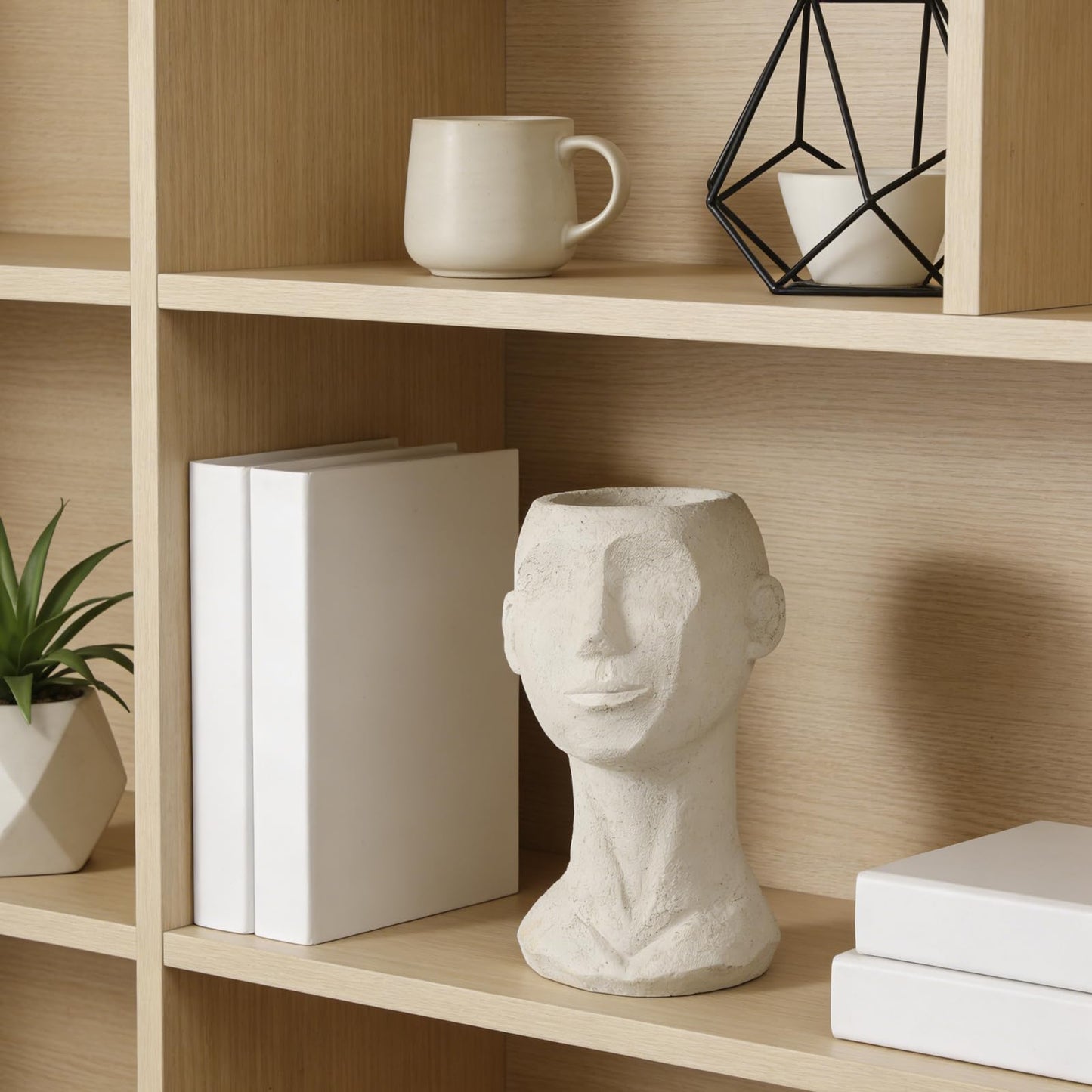 LC LCdecohome Face Vases Flowers Bust Planter - Greek Statue Flower Vase for Home Roman Décor Living Room Grecian Bust Pot Head Planters Indoor Unique Planters for Indoor Plants 6.5 * 5.9 * 9.8 Inch