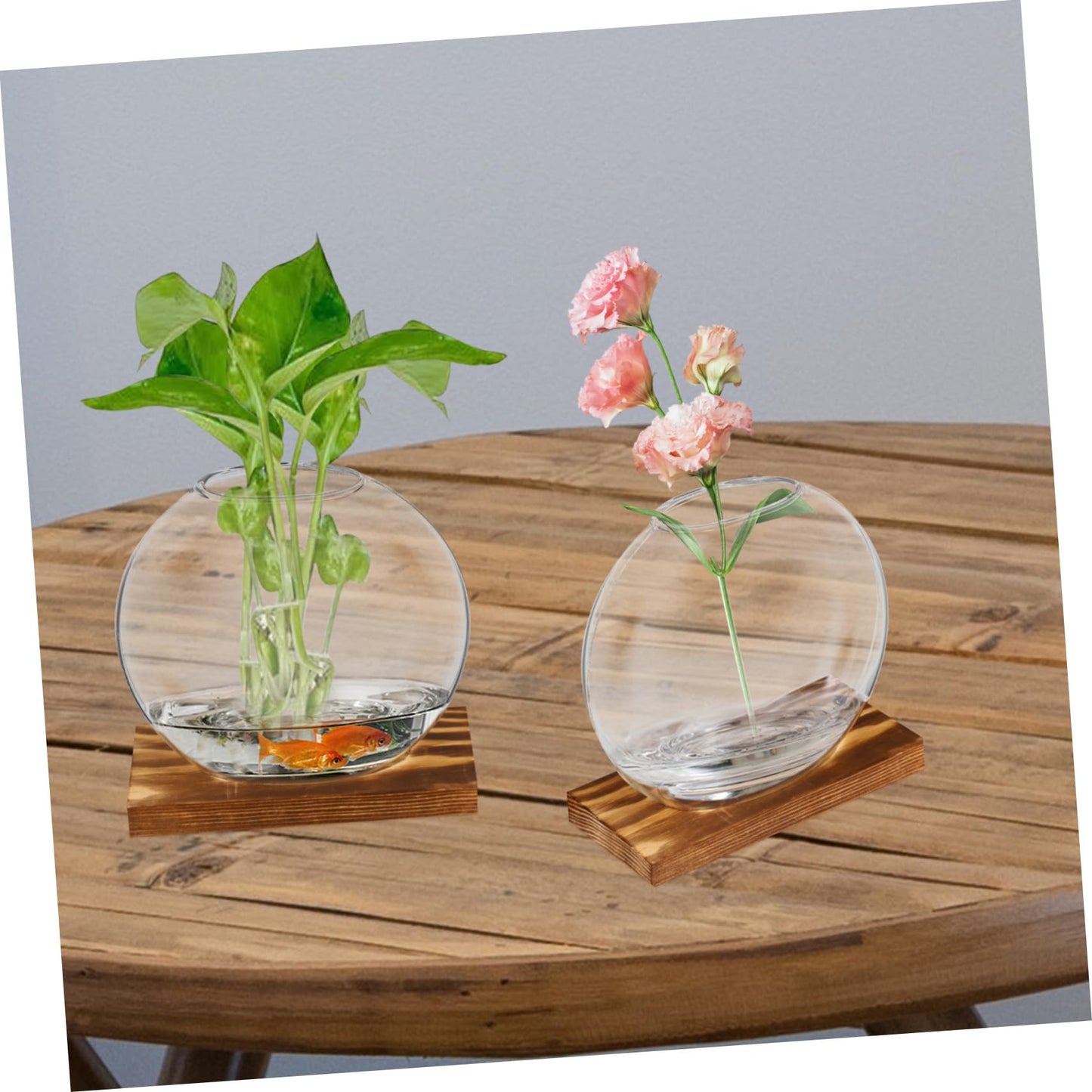 Mipcase 2sets Wooden Vase Glass Terrarium Indoor Plant Wall Garden Propagation Terrariums