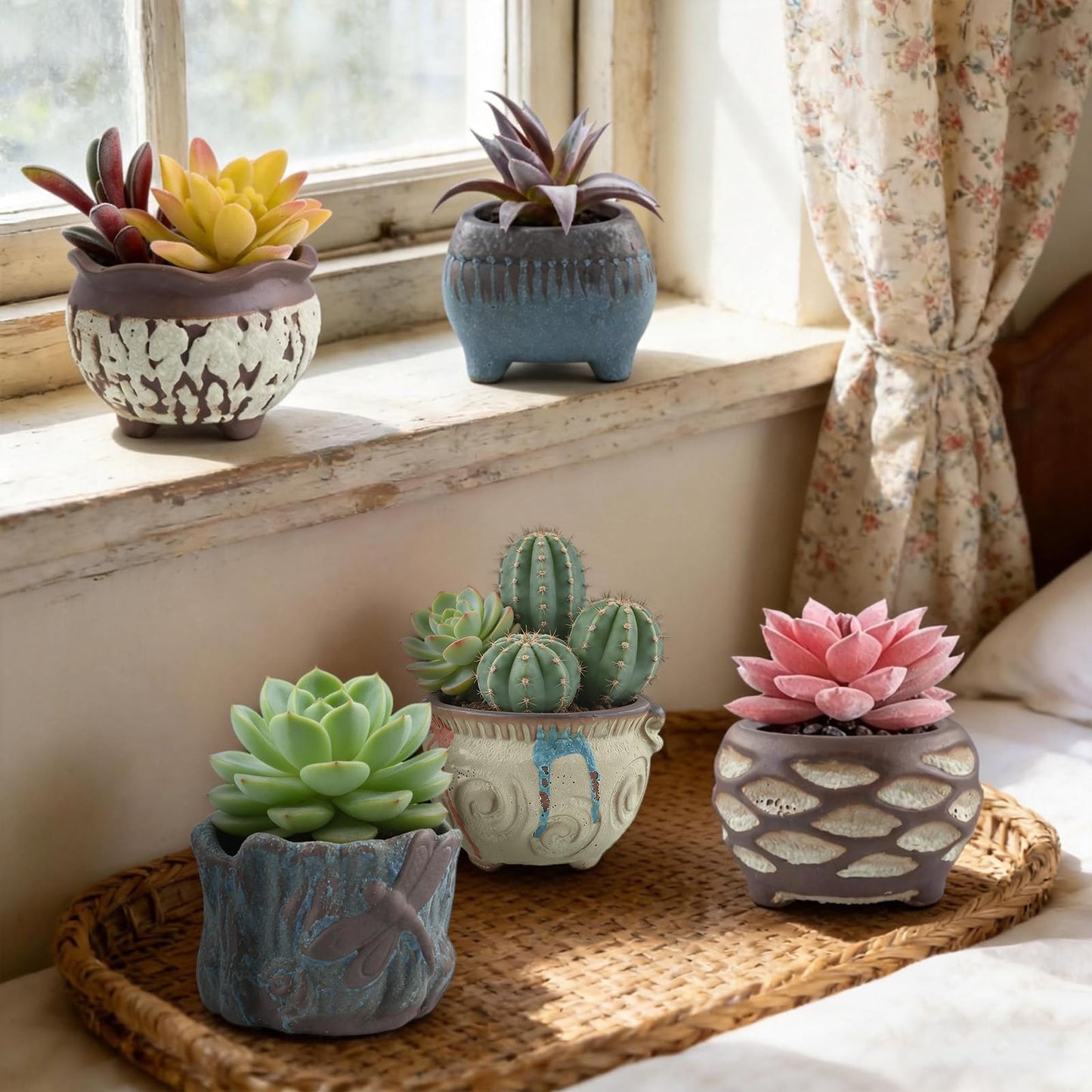 ginojex Ceramic Garden Pots Succulent Plant Planter Container with Drainage Set of 5 Small for Home Office Decor