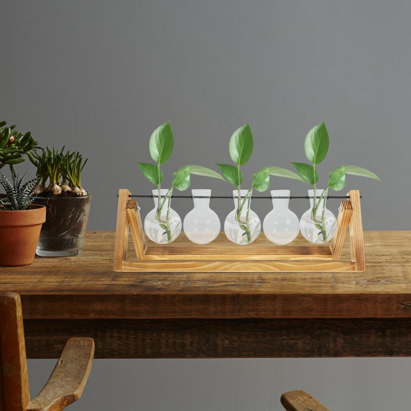 BEBEMOKO Glass Plant Propagation Station with 5 Hydroponic Vases and Wooden Stand, Glass Flower Vase Set for Desktop Indoor Plant Terrarium and Home Décor