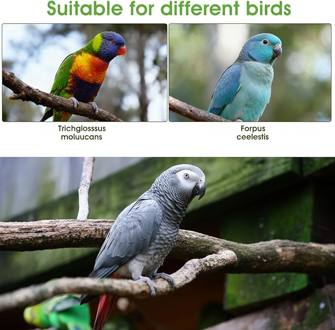 4 Pcs Bird Diaper, Parrot Diapers with Waterproof Inner Reusable Flight Suit Cute Soft Bird Diaper Clothes for Parakeets Cockatiel Canary Monk Parakeet (L)