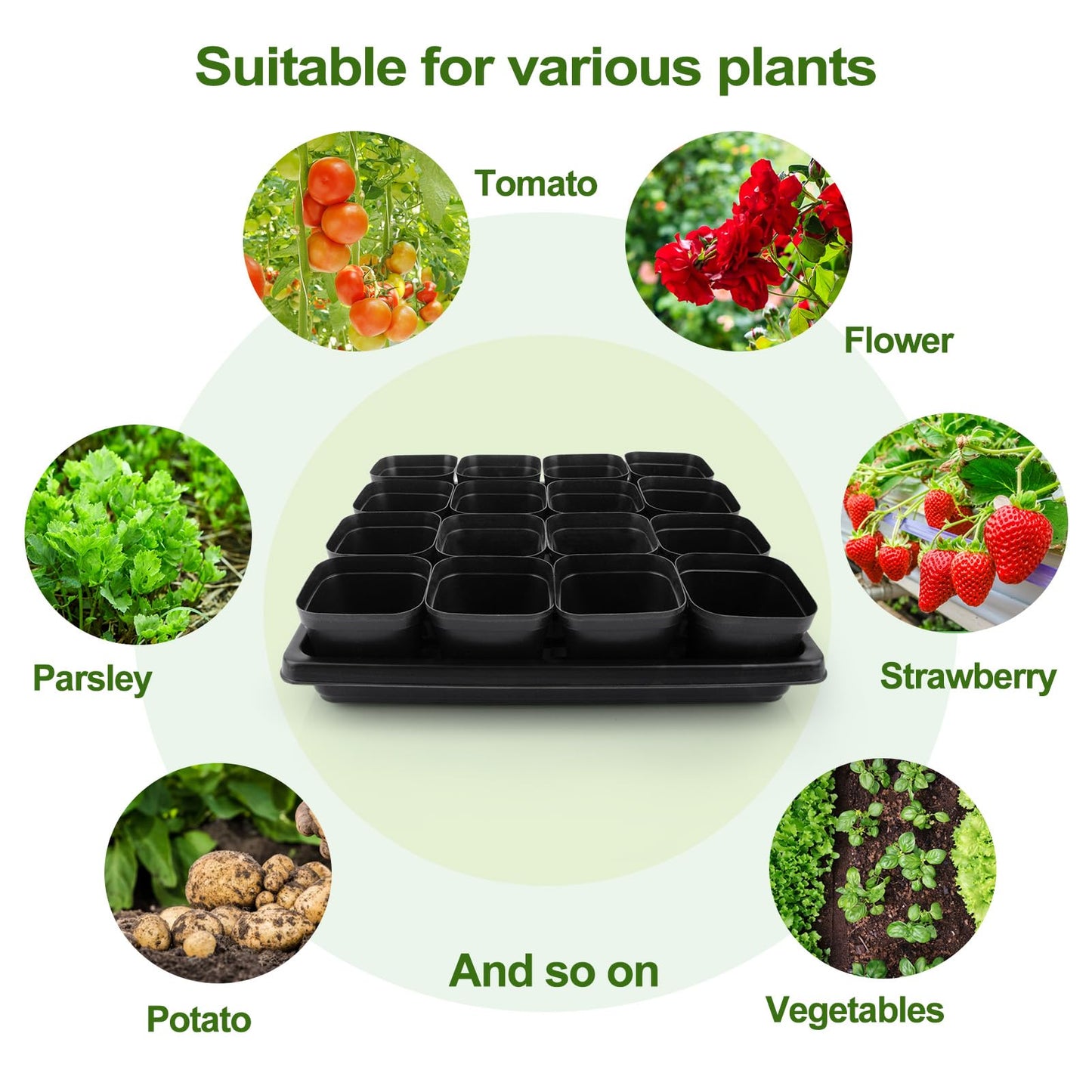 Mlhezy 80Pcs 2.5inch Square Nursery Pots with 5Pcs Seed Starting Trays, Seed Starter Tray Kit, Seeds Starting Germination, Seeding Pots with Drain Holes, Small Plant Nursery Propagation