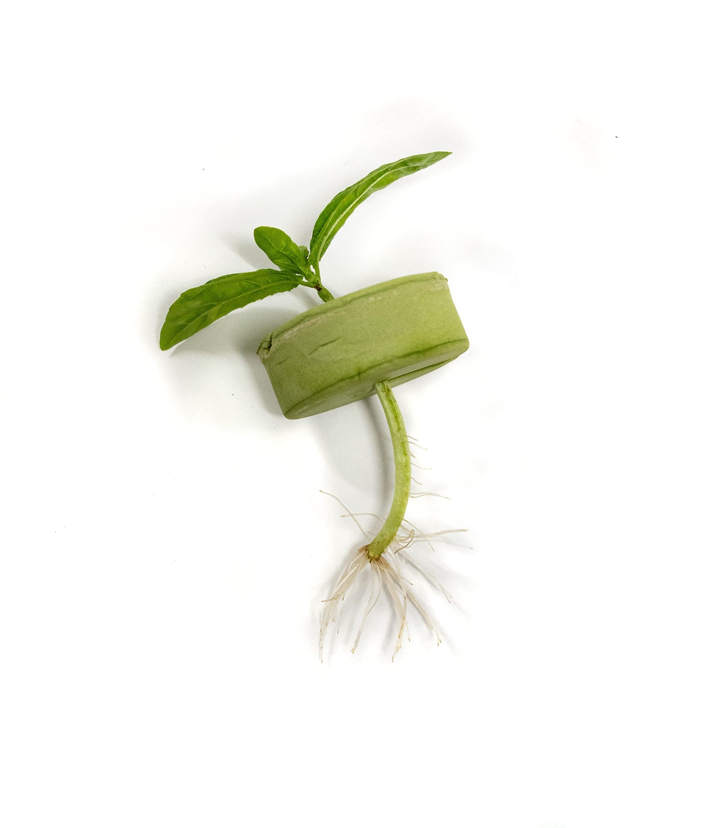 TurboKlone T48D Klone System with Dome