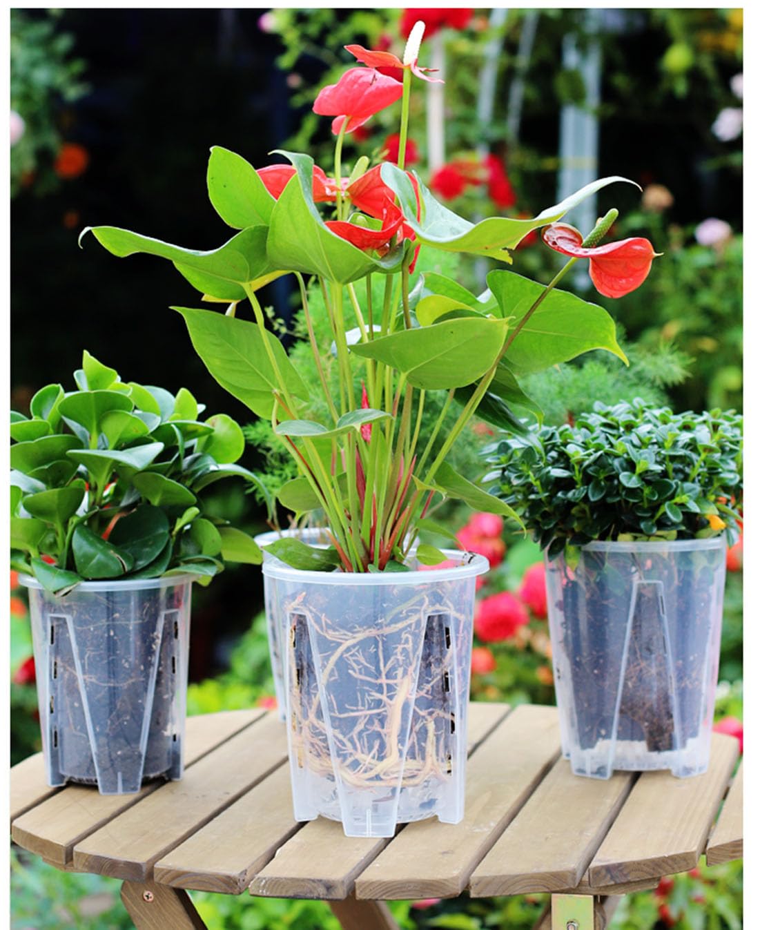 5 Pack Transparent Plastic Garden Pots Clear Orchid Pots with Holes and Saucers for Repotting Breathable Slotted Plastic Orchid Planters with Drainage for Indoor Outdoor Plants and Flowers (4 inch)