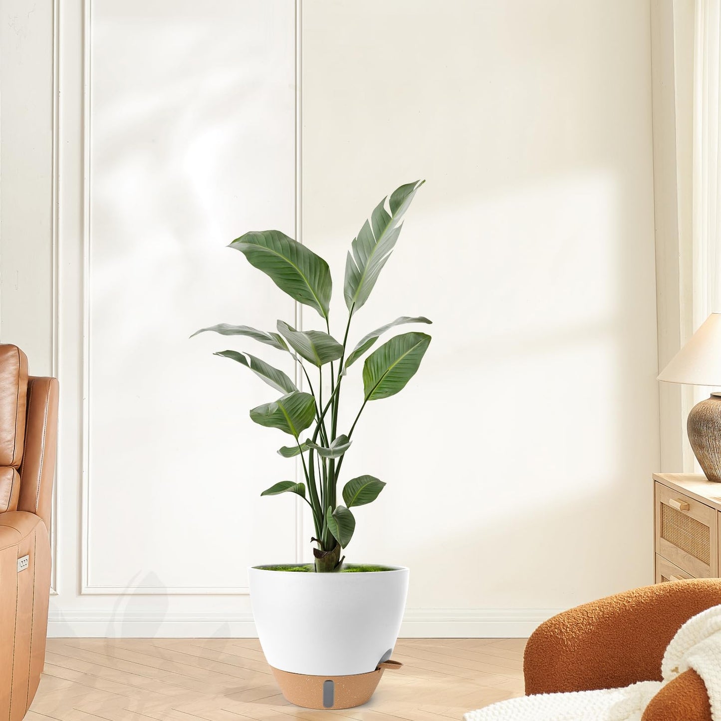 Self Watering Pots for Indoor Plants 12/10/9/8 Inch Large Plastic Self Watering Flower Pots Indoor Outdoor with Drainage Holes, Deep Reservoir,Nursery Planting Pot for Indoor Outdoor Plants White