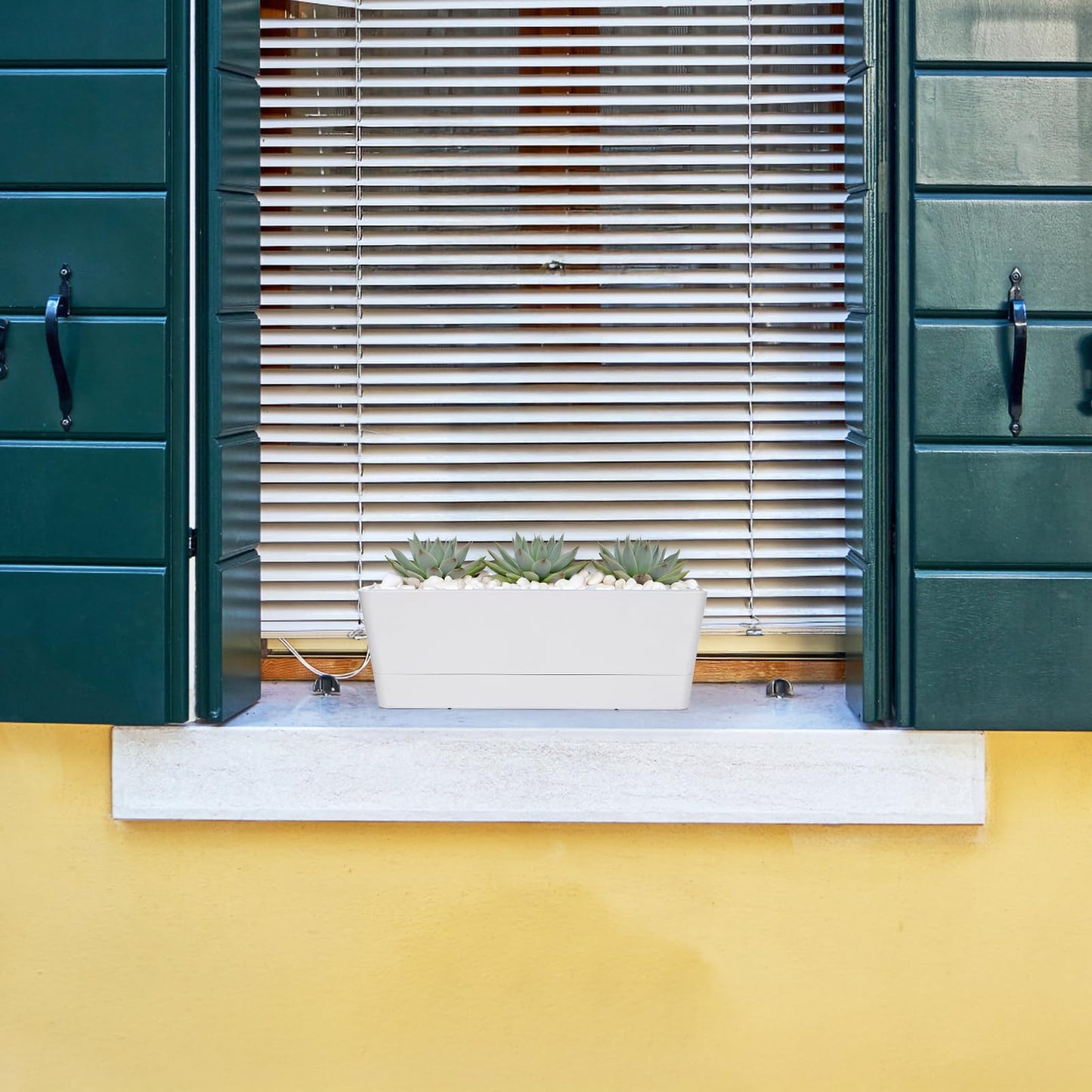 GREANER Window Boxes Planters, 3PCS 16x3.8 Inch Large Herb Planters with Tray, Indoor Succulent Cactus Flowers Vegetable Plastic Rectangle Pots for Balcony, Office, Garden, Outdoor, Windowsill (White)