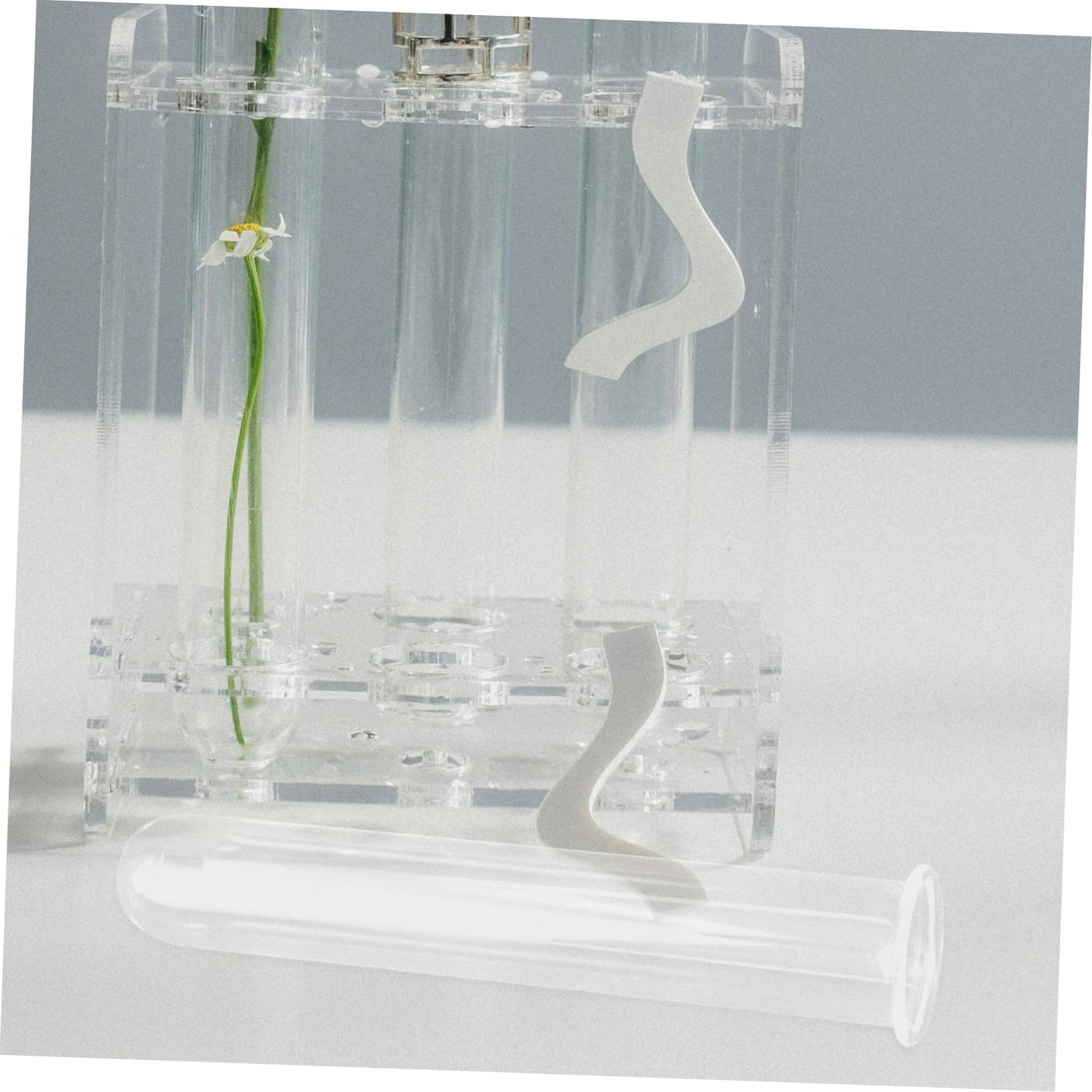 Cabilock 4pcs Glass Hydroponic Propagation Tubes for Plants Small Test Tube Vase Terrarium Container for Desktop Water Plants Floral Decor