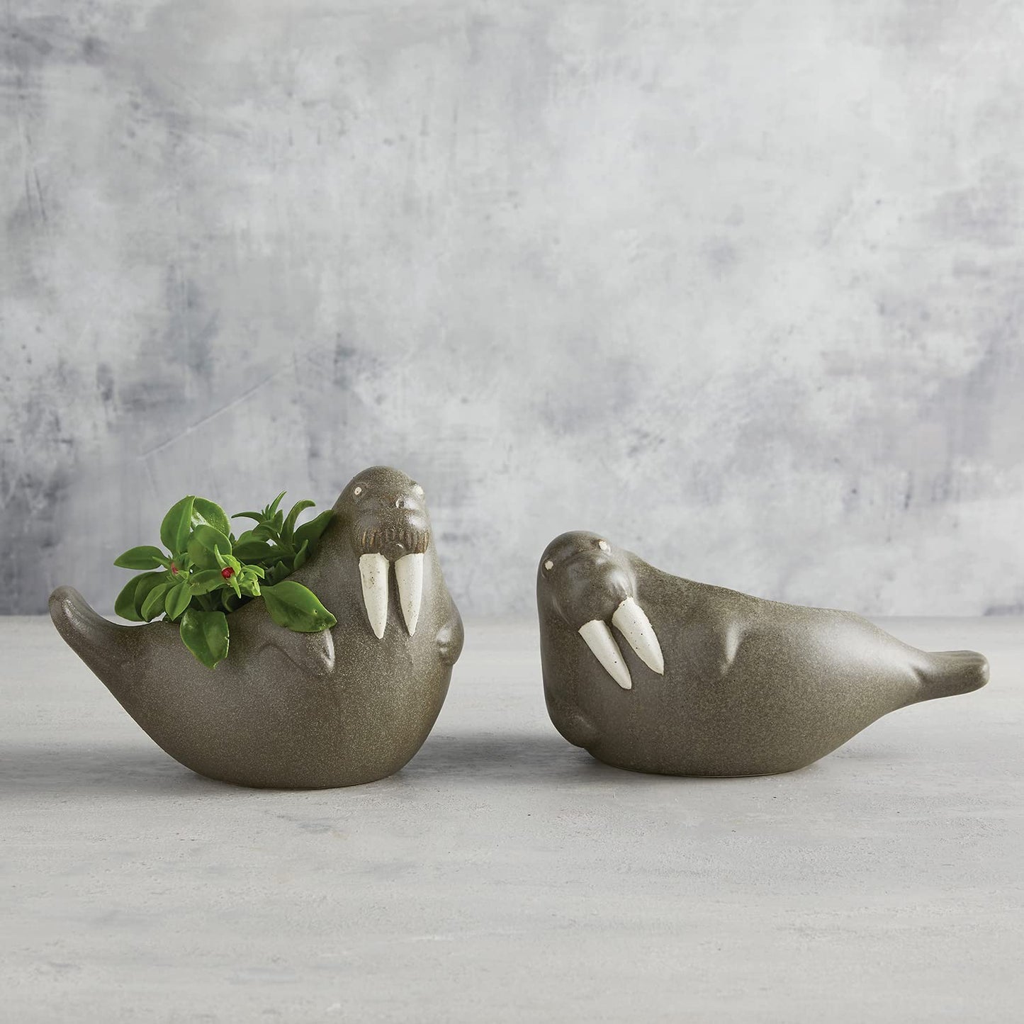 47th & Main Beach House Coastal Décor Shaped Ceramic Planter Flower Pot for Succulents Small Plants and More, 9" Long, Sitting Walrus